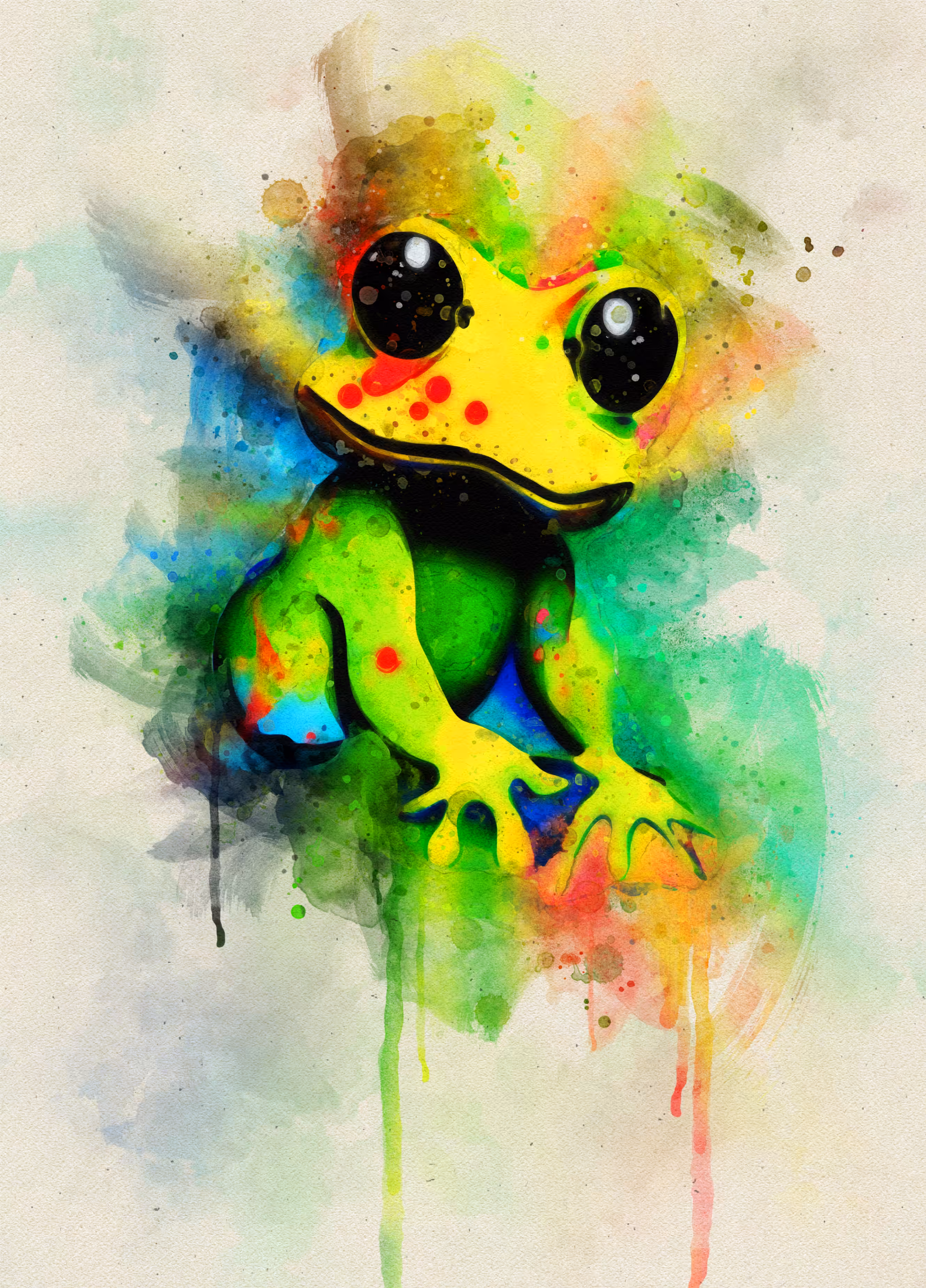 Toad