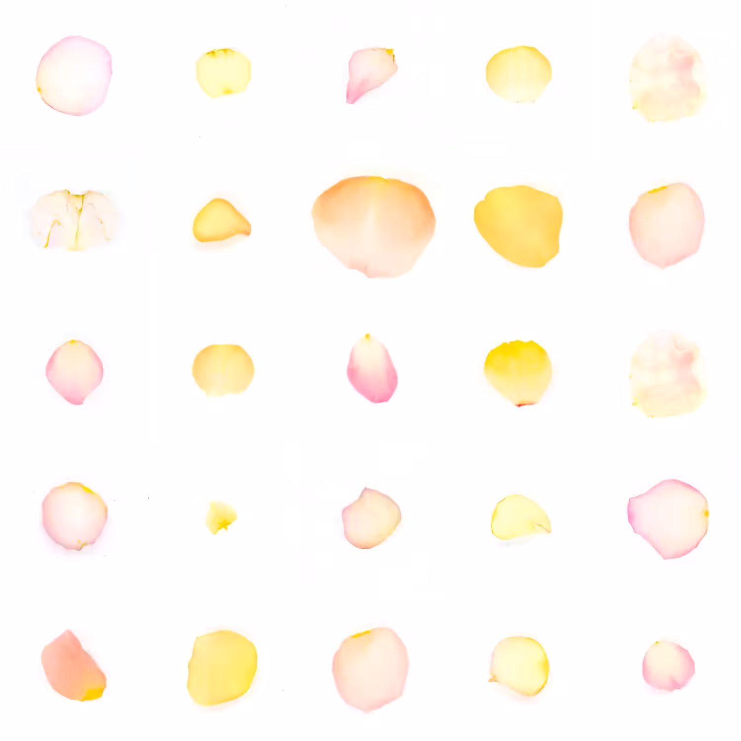 Infinite Petals 5x5#1490