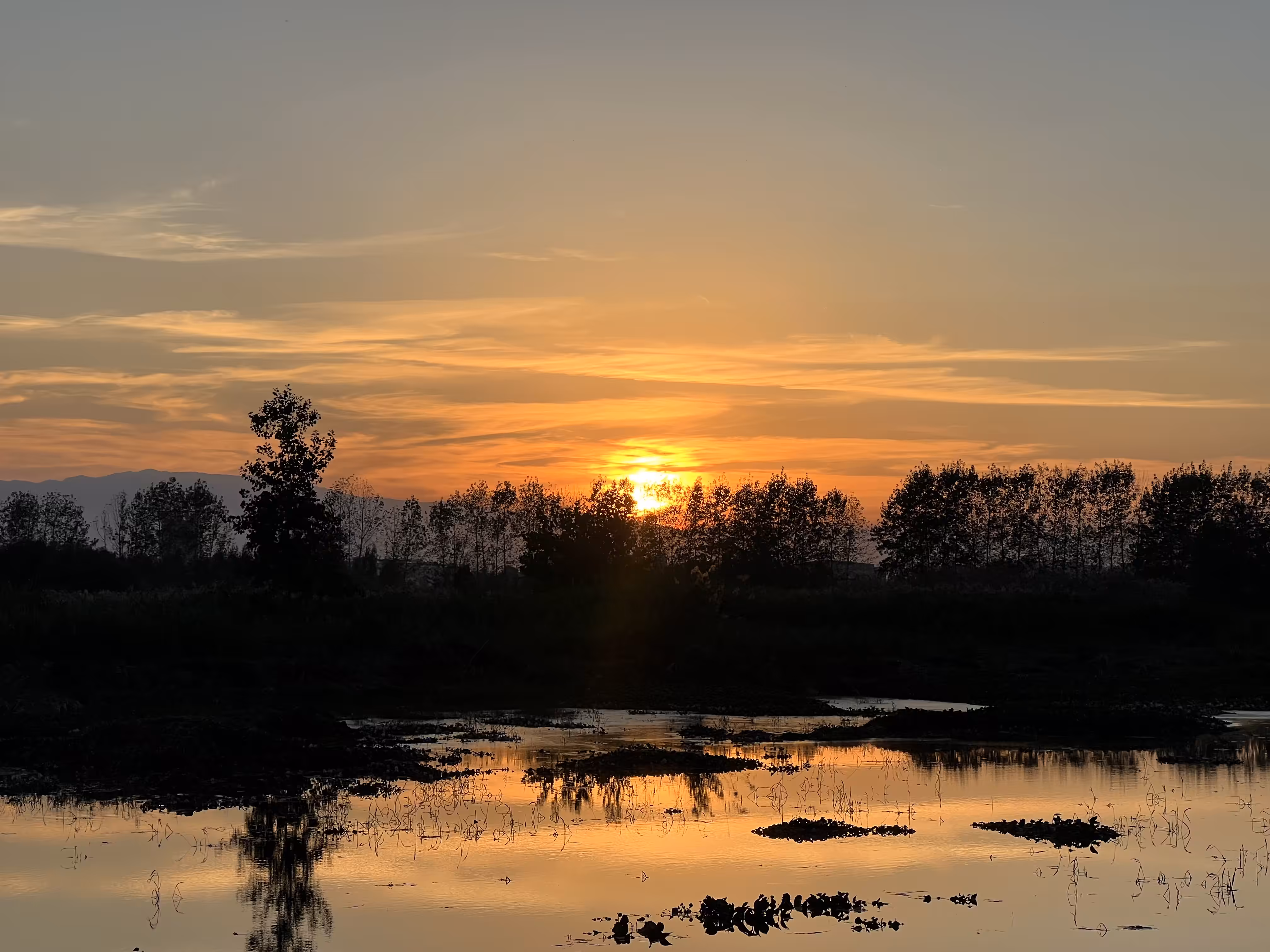Whispers of Iran: photographs: That golden hour saved me