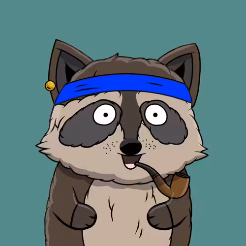 Raccoon #1501