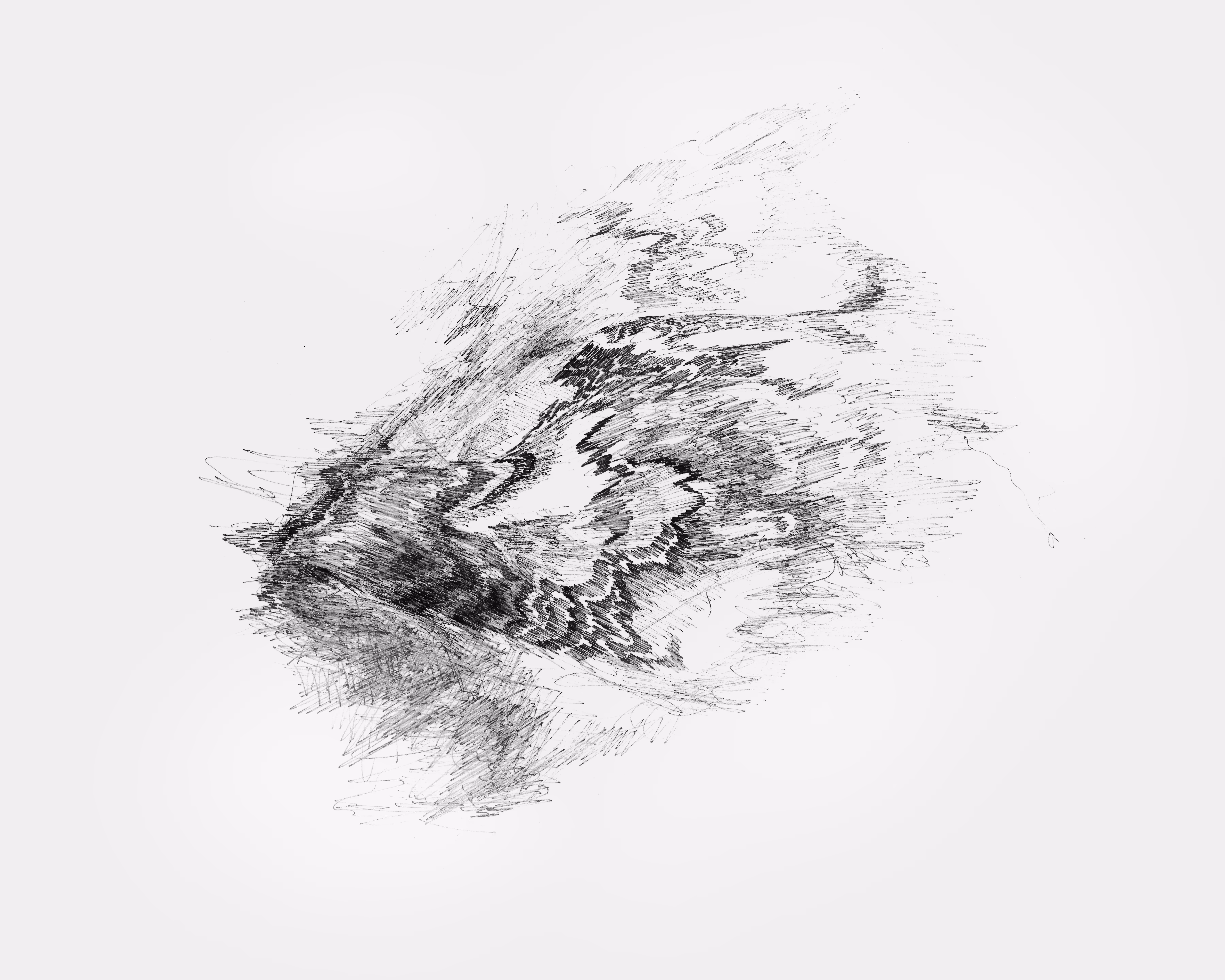 Antracital #5