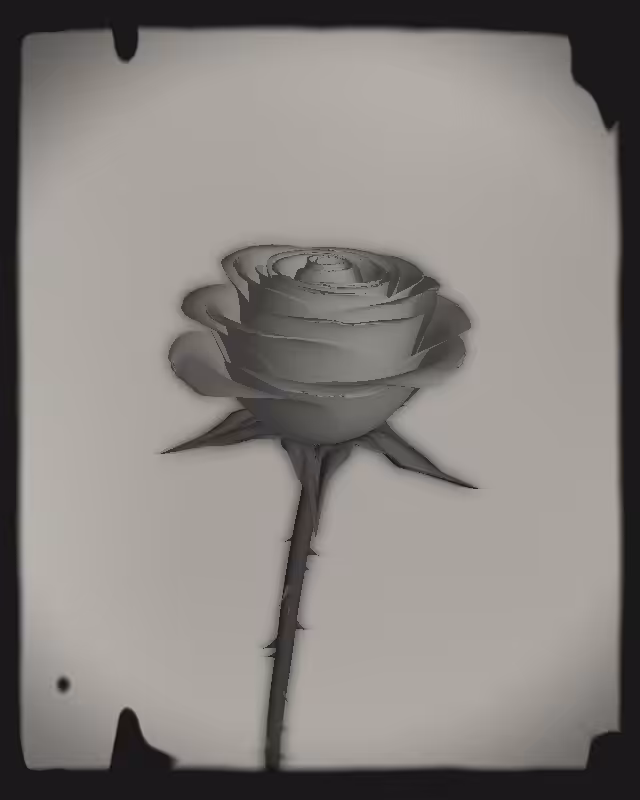 Rose 1851 #67