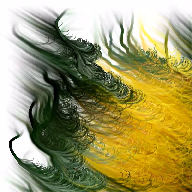 Hypericum #64