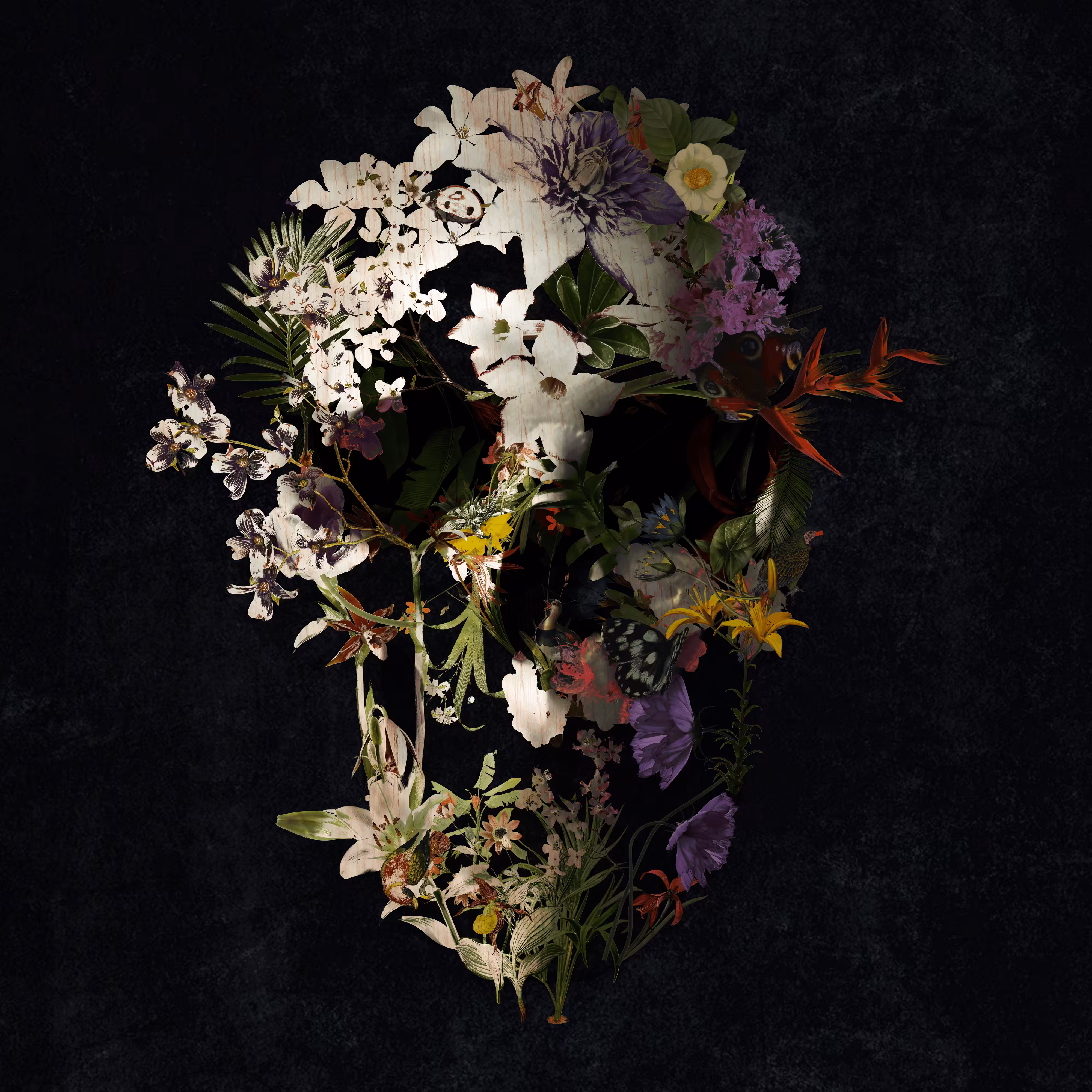 Spring Skull