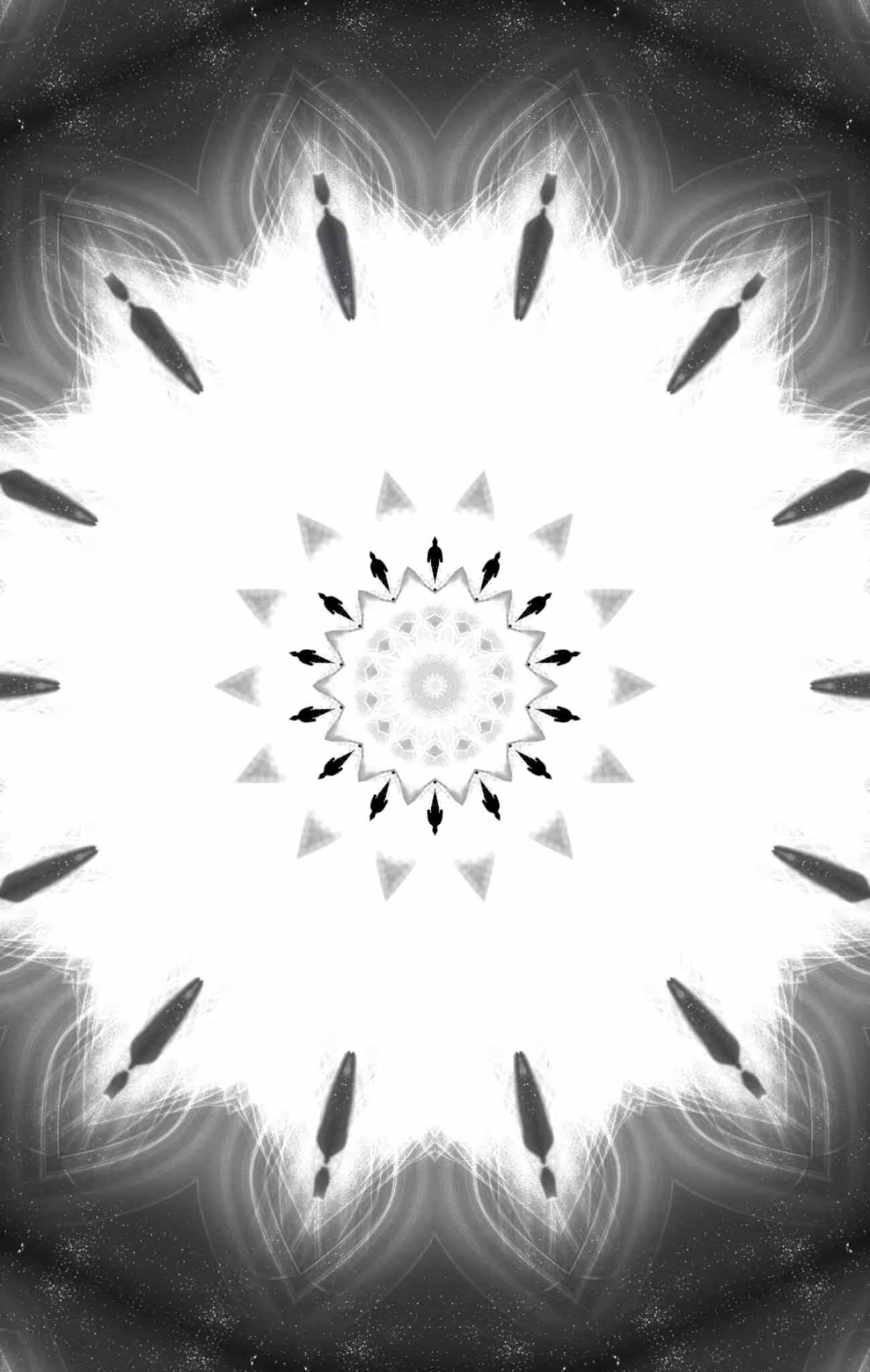 polarity (kaleido)