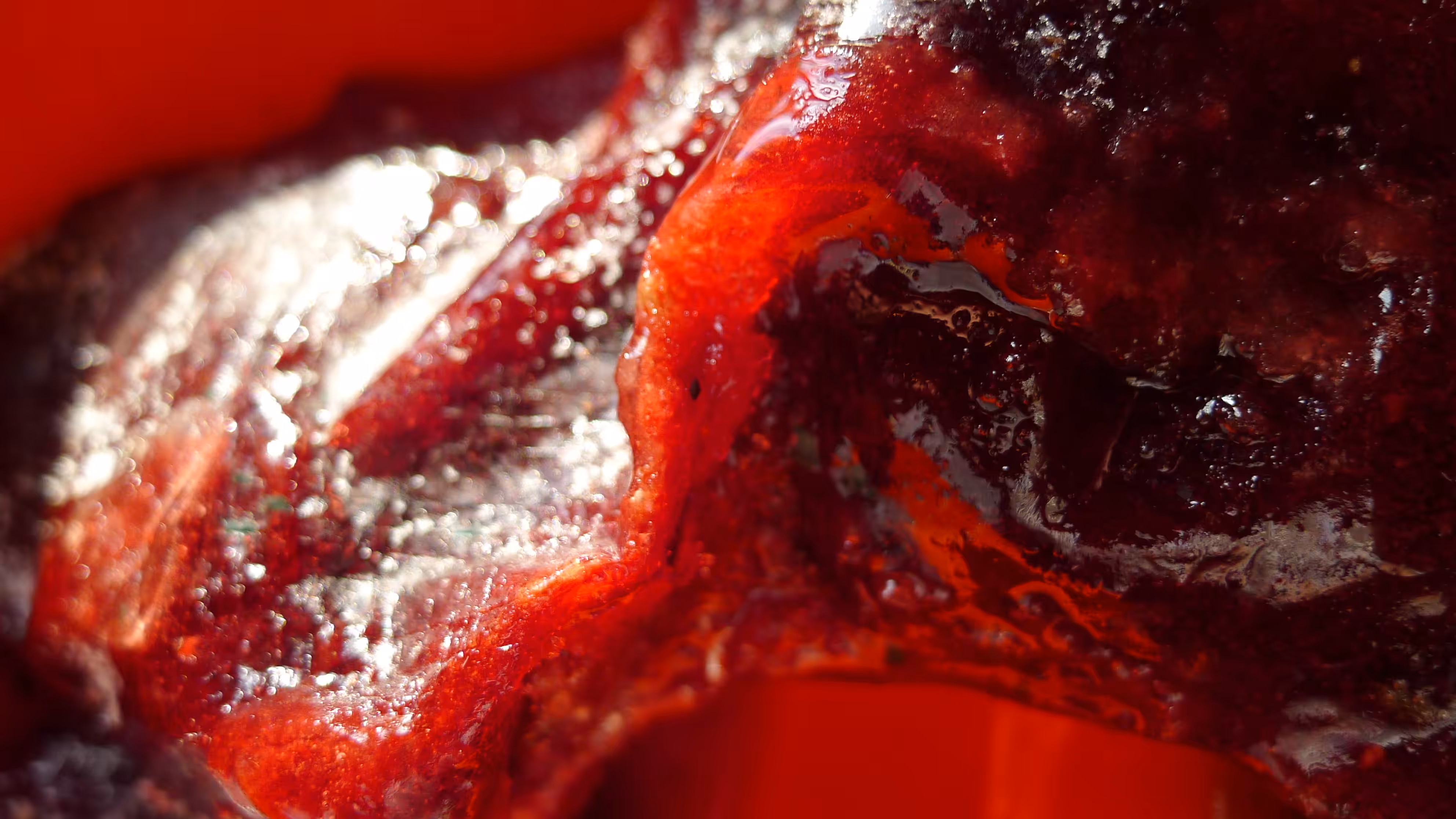 Frozen Blood Source Image for BLOOD TRIP SERIES