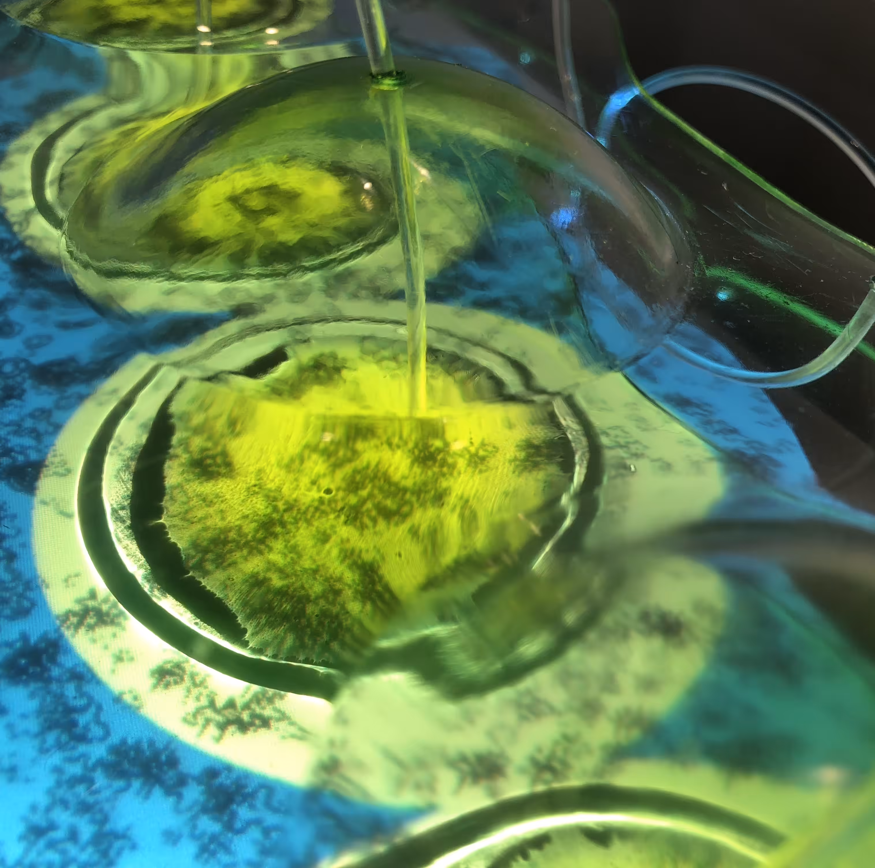 BIOTA series