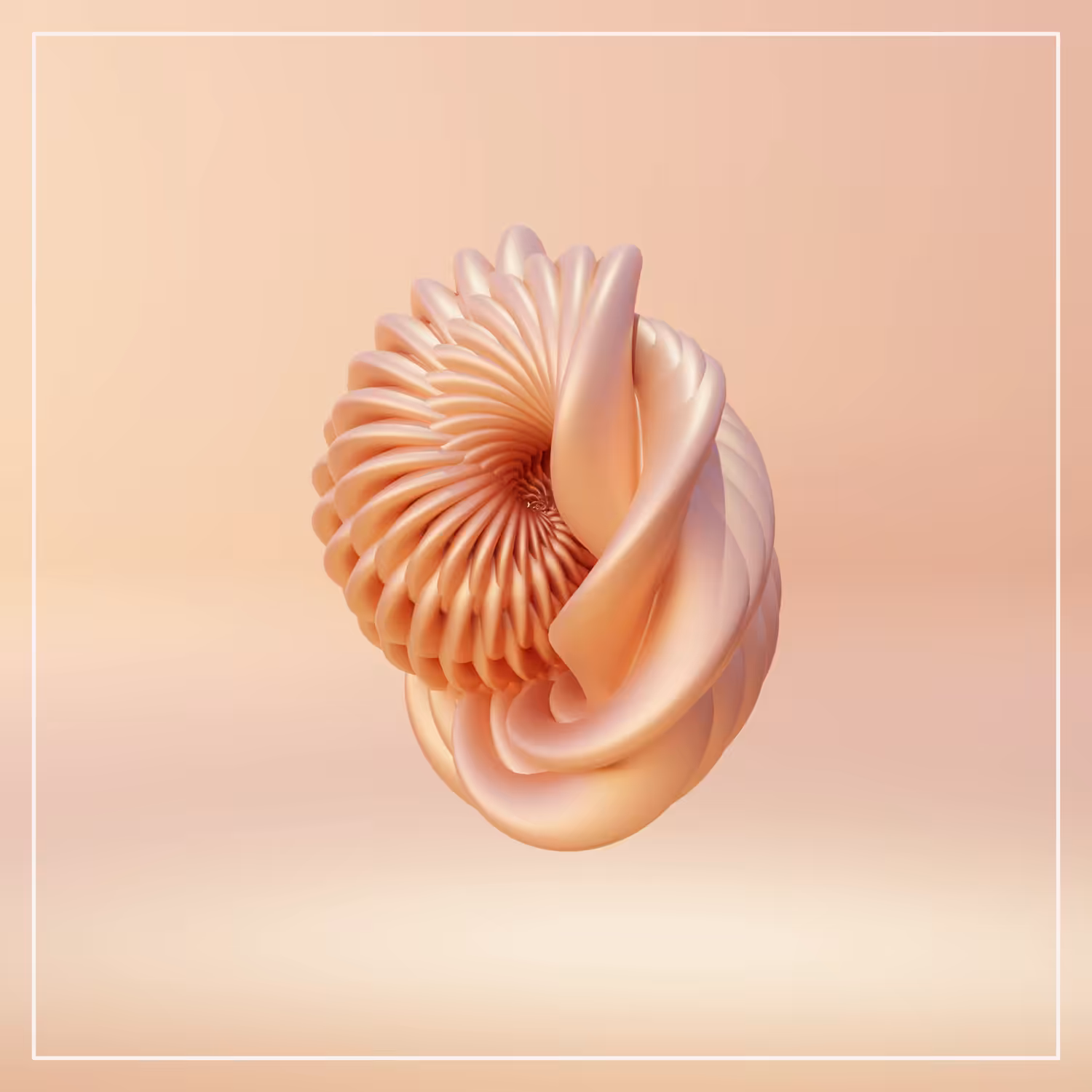 Genesis Shell