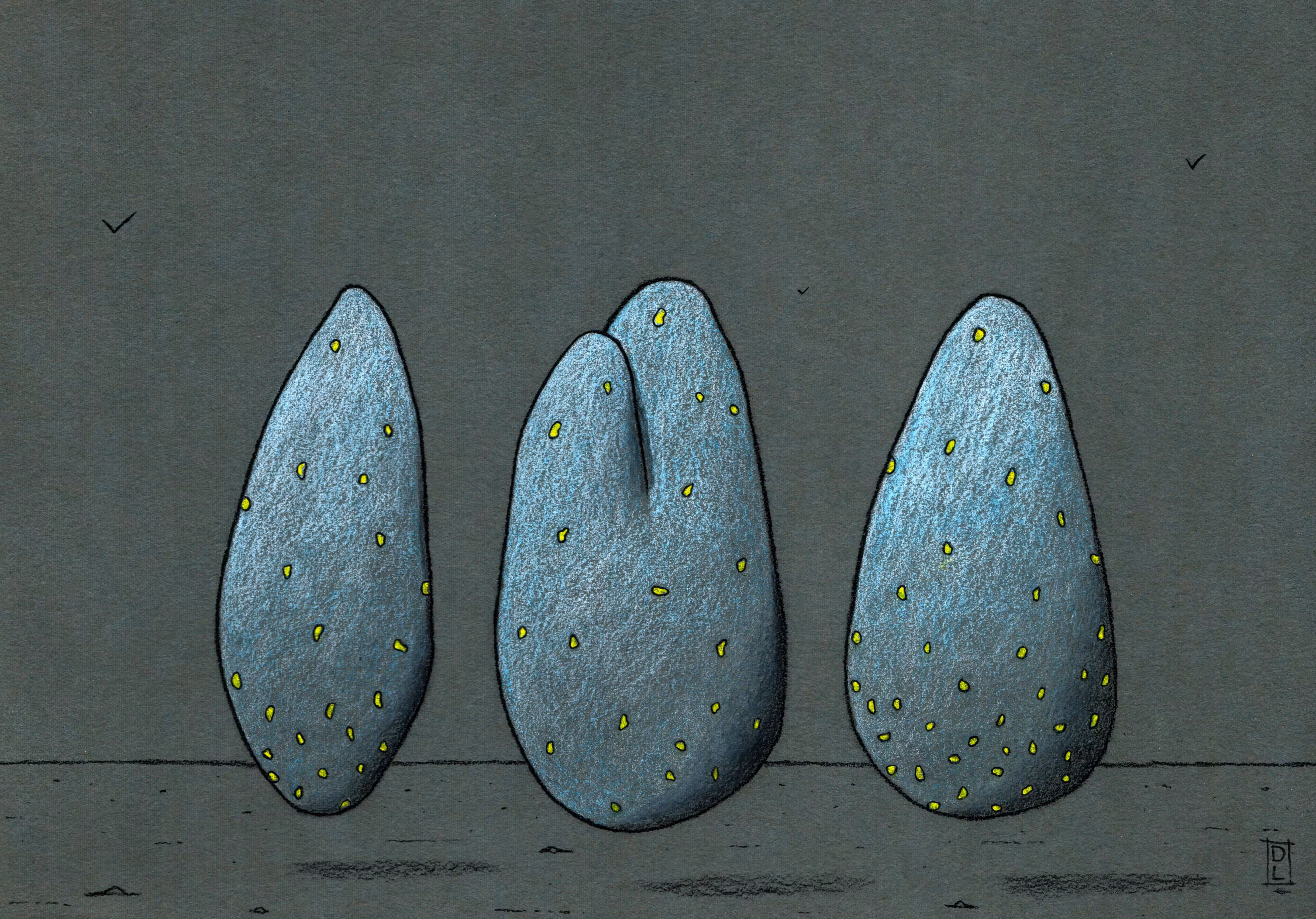 Menhir 8