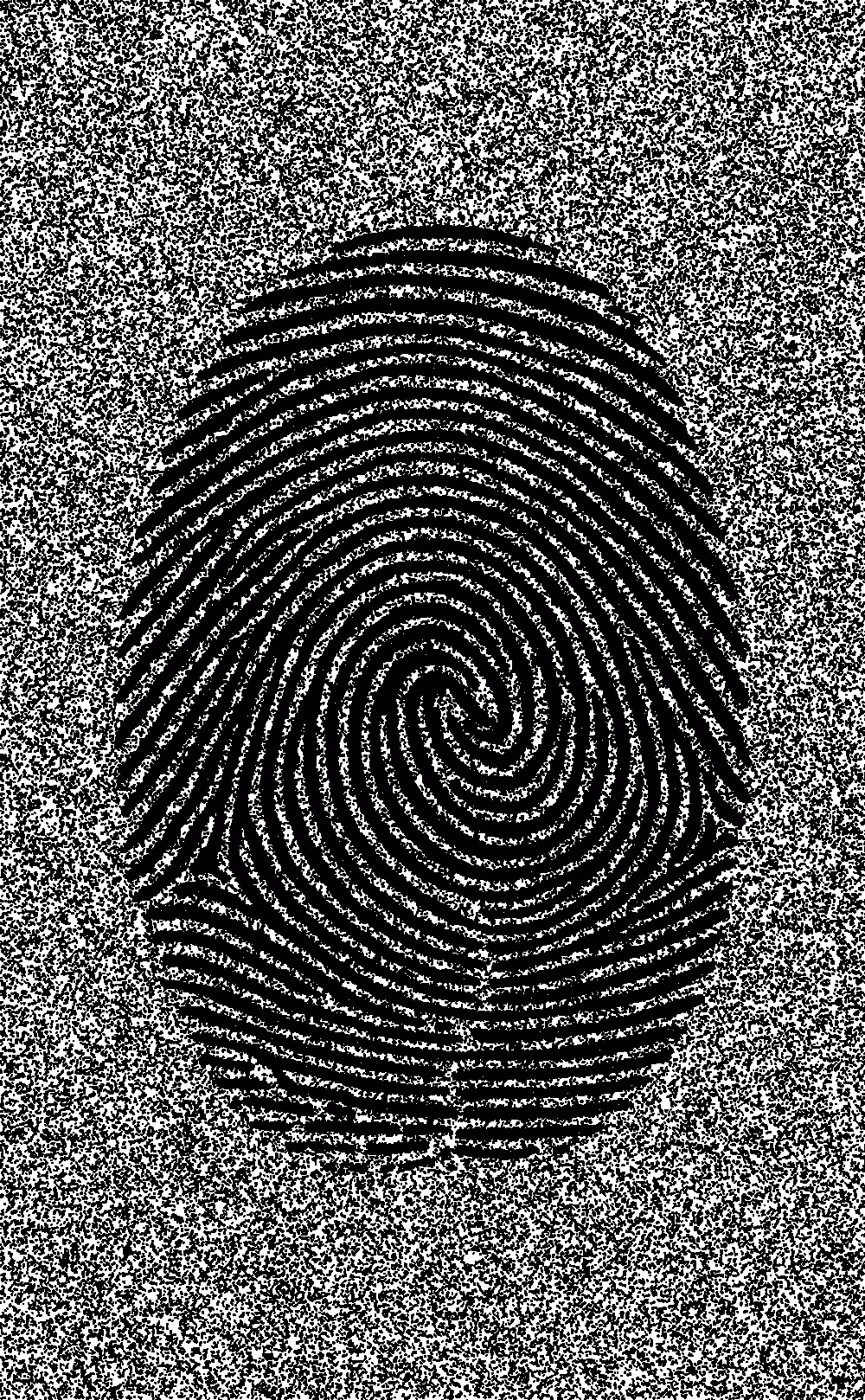 Signature in the noise