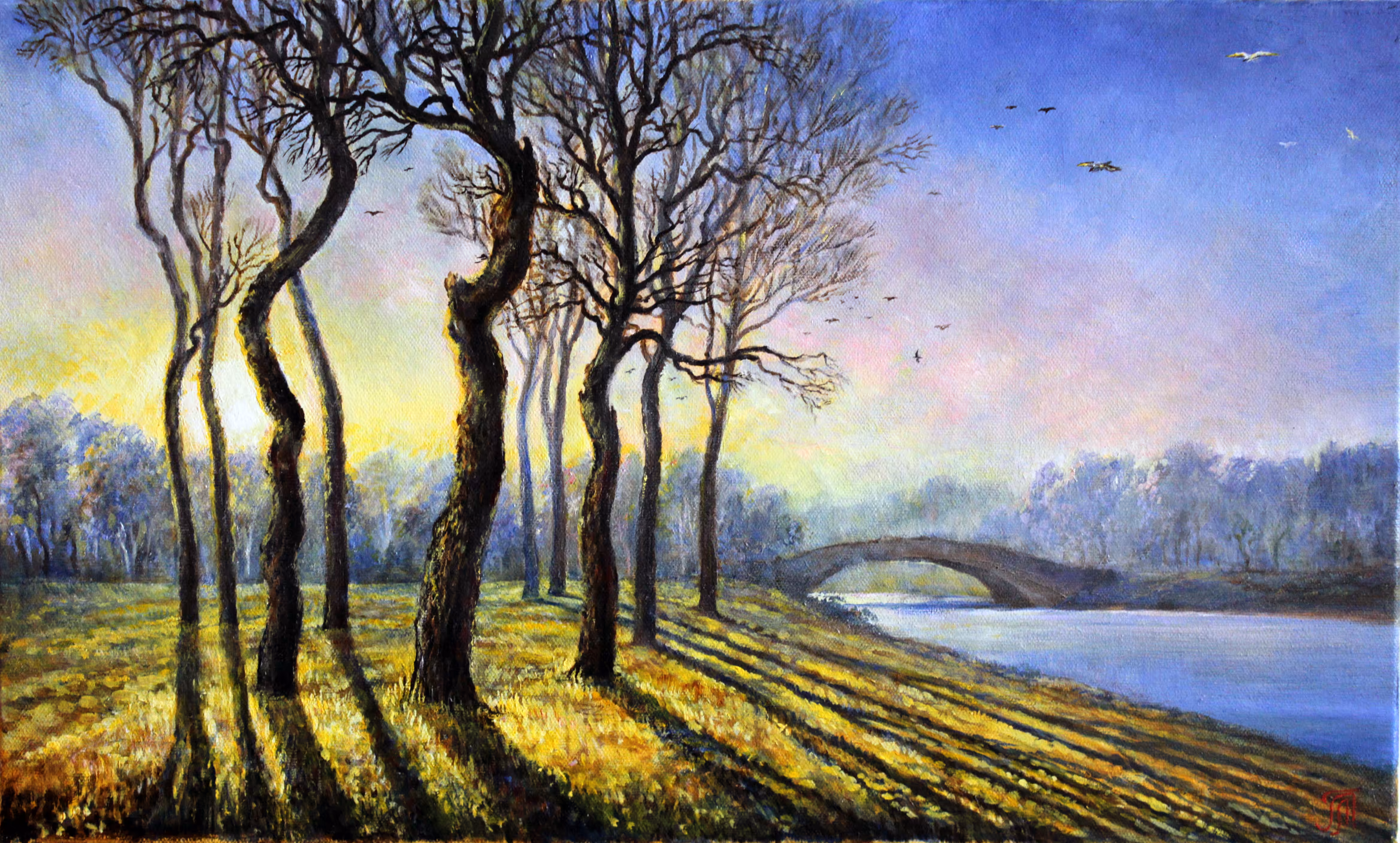 Evening shadows