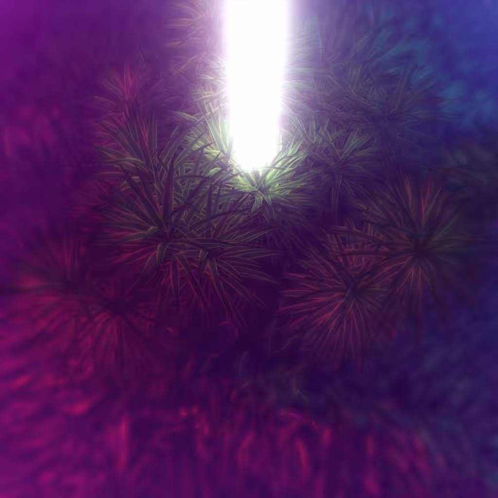 They are coming
