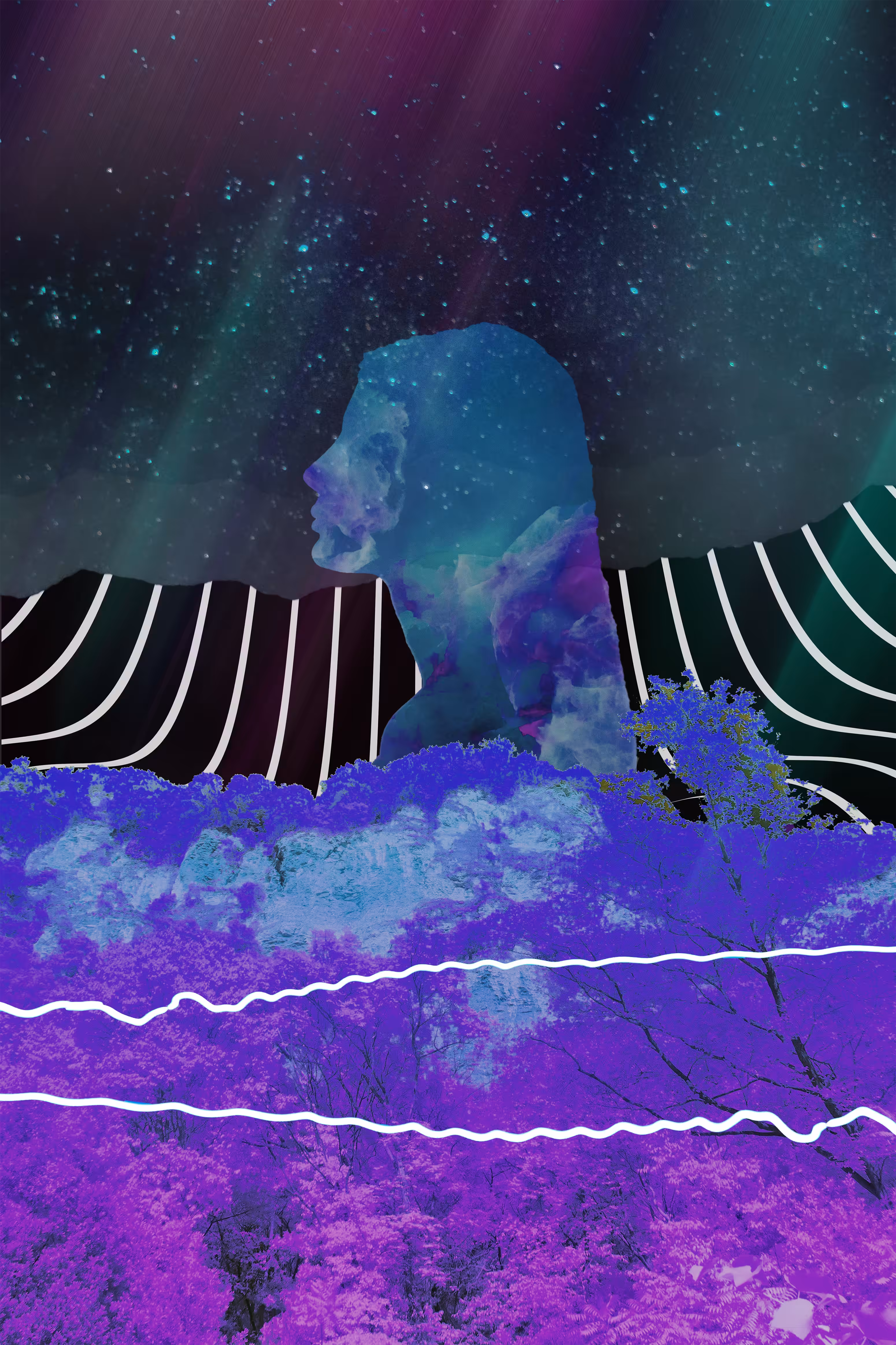 Aurora Rising
