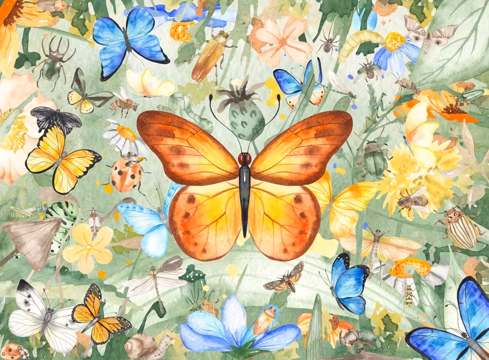 A Bug's Life