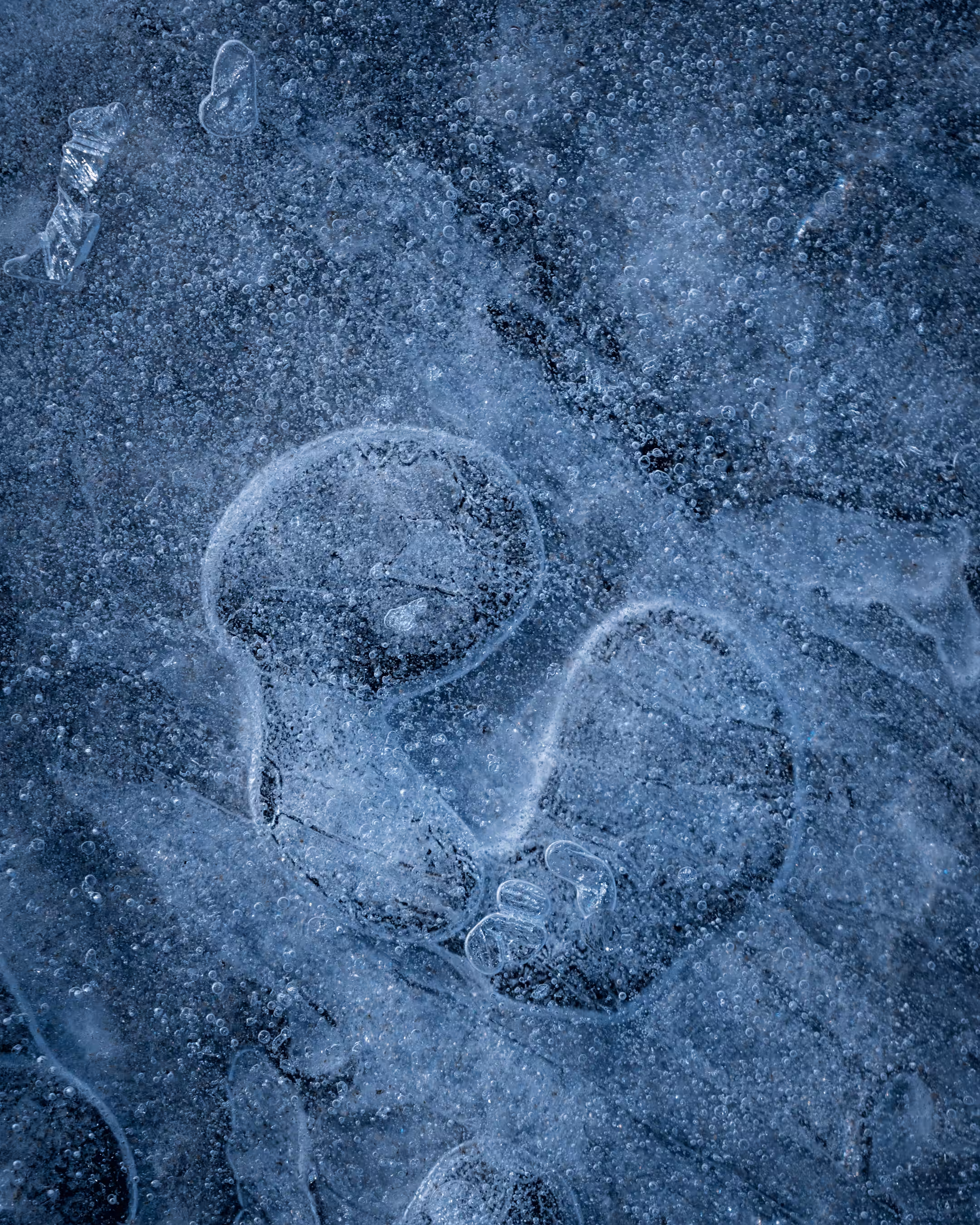 Elements #31 - Embryonic