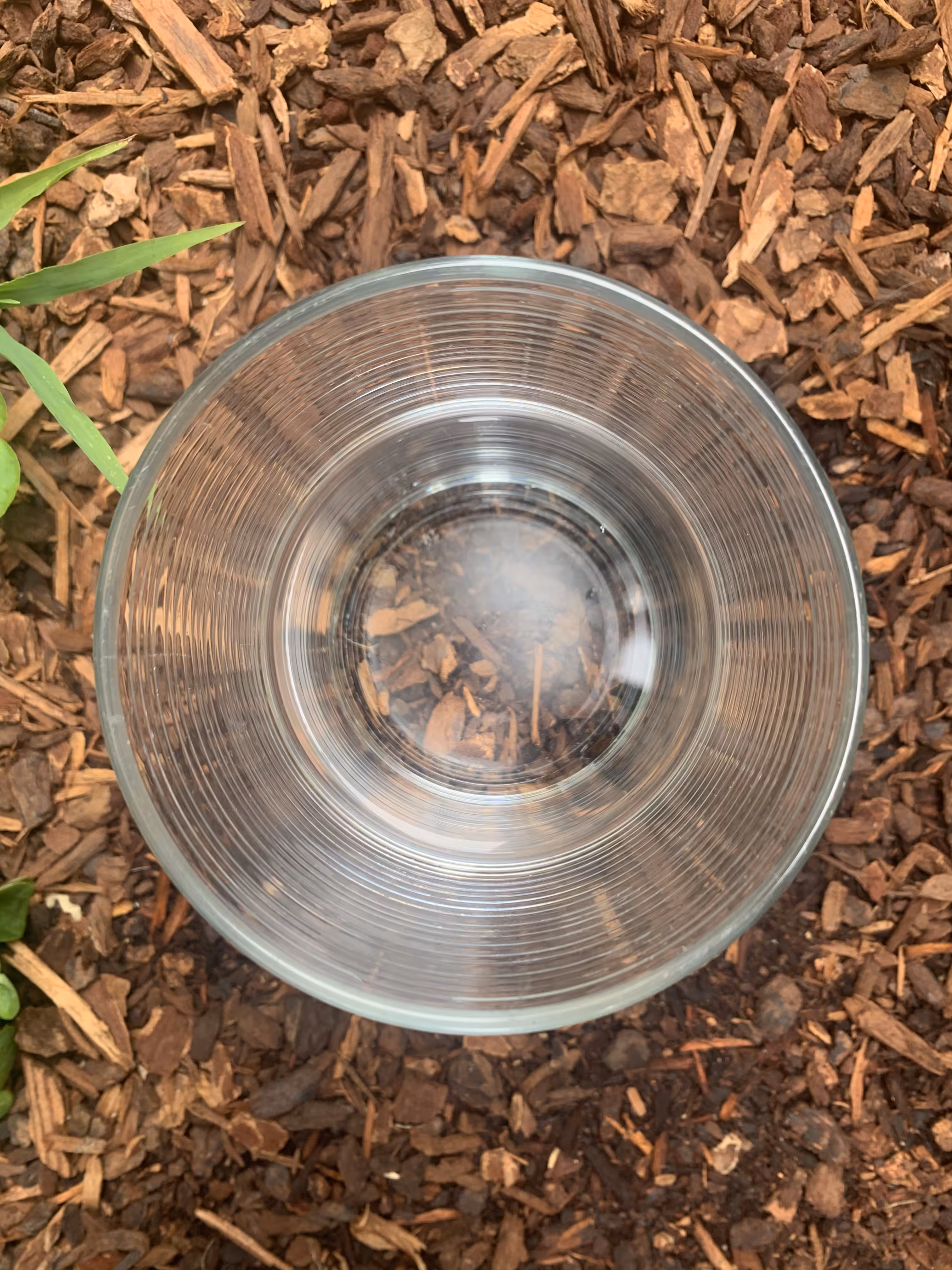 Neutral Water 21/27