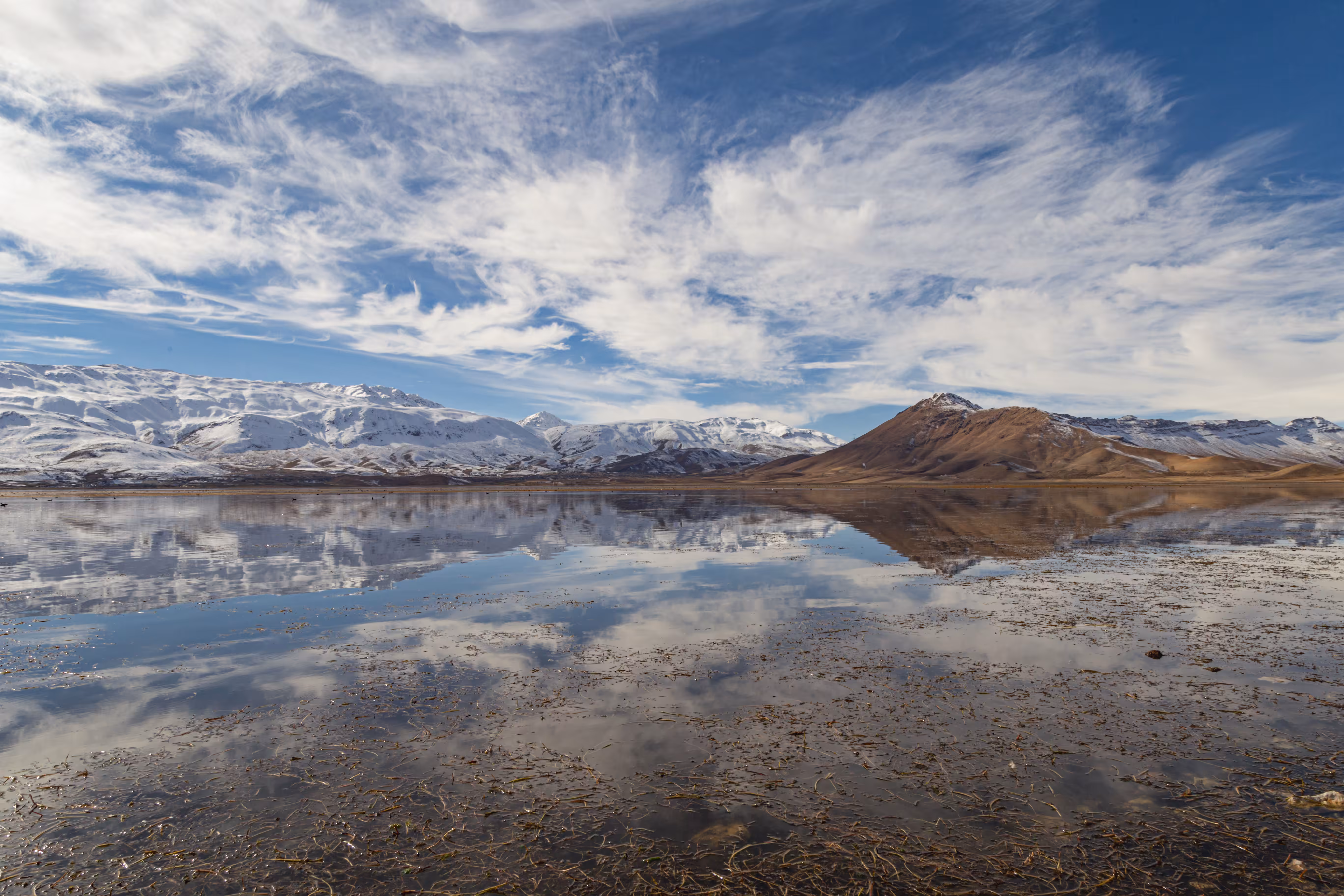 Reflection