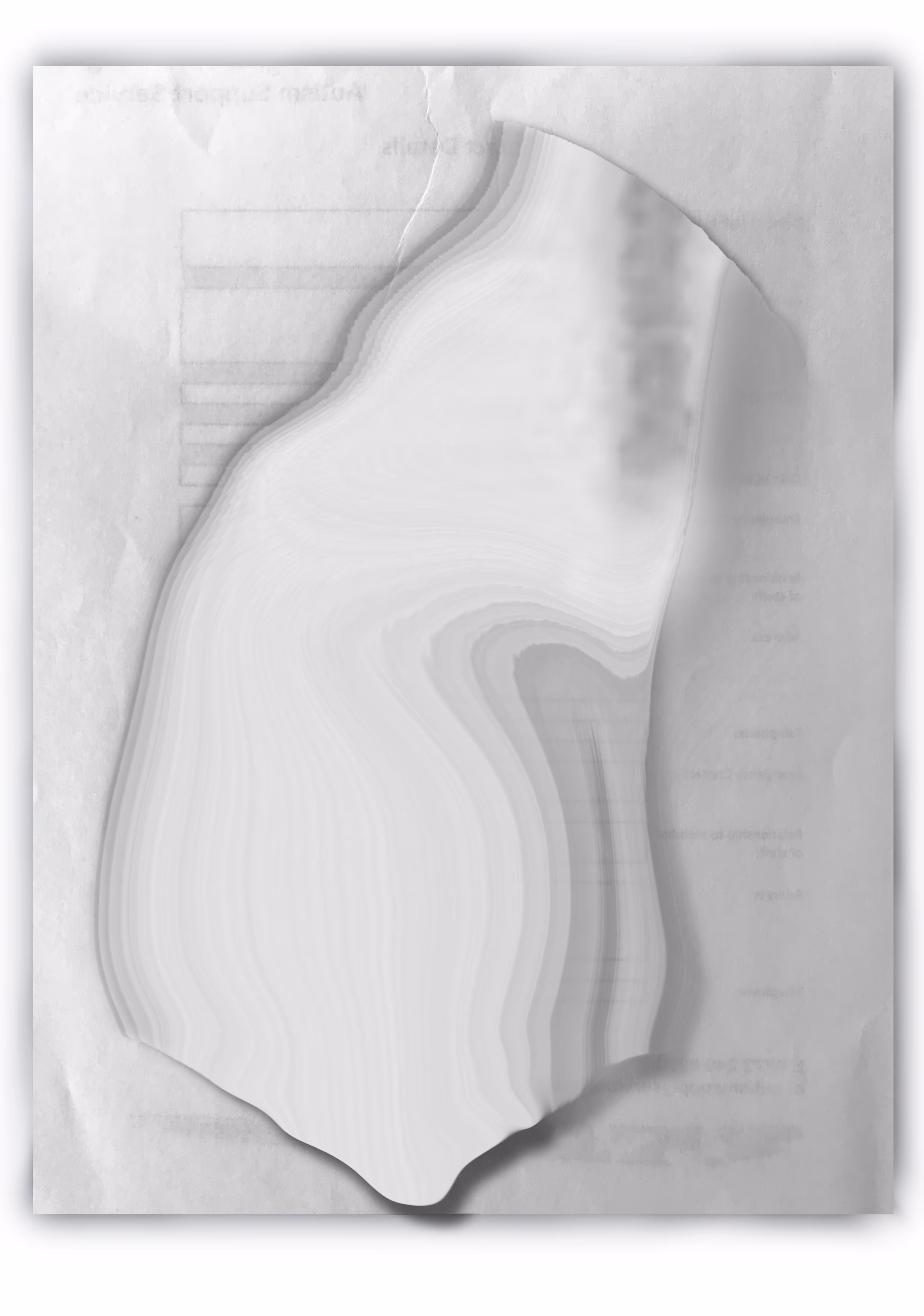 Digital Artefact A4 Verso