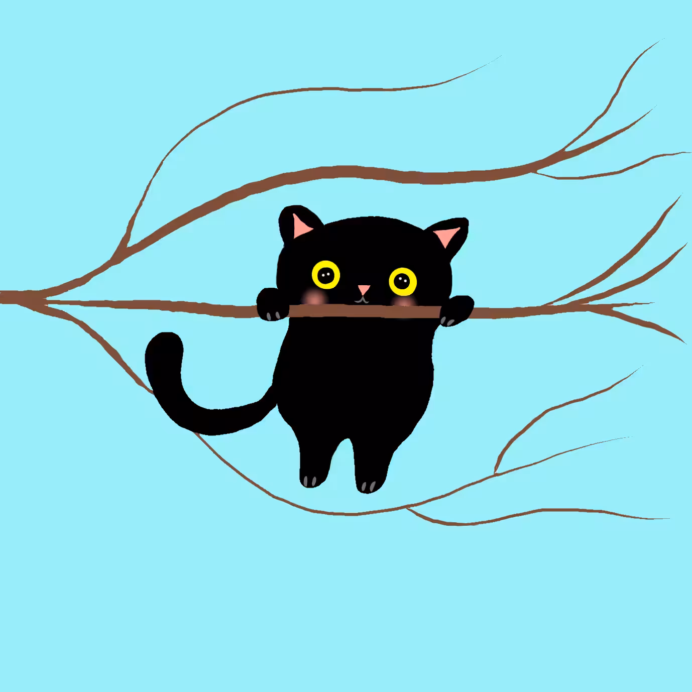 black Kitty