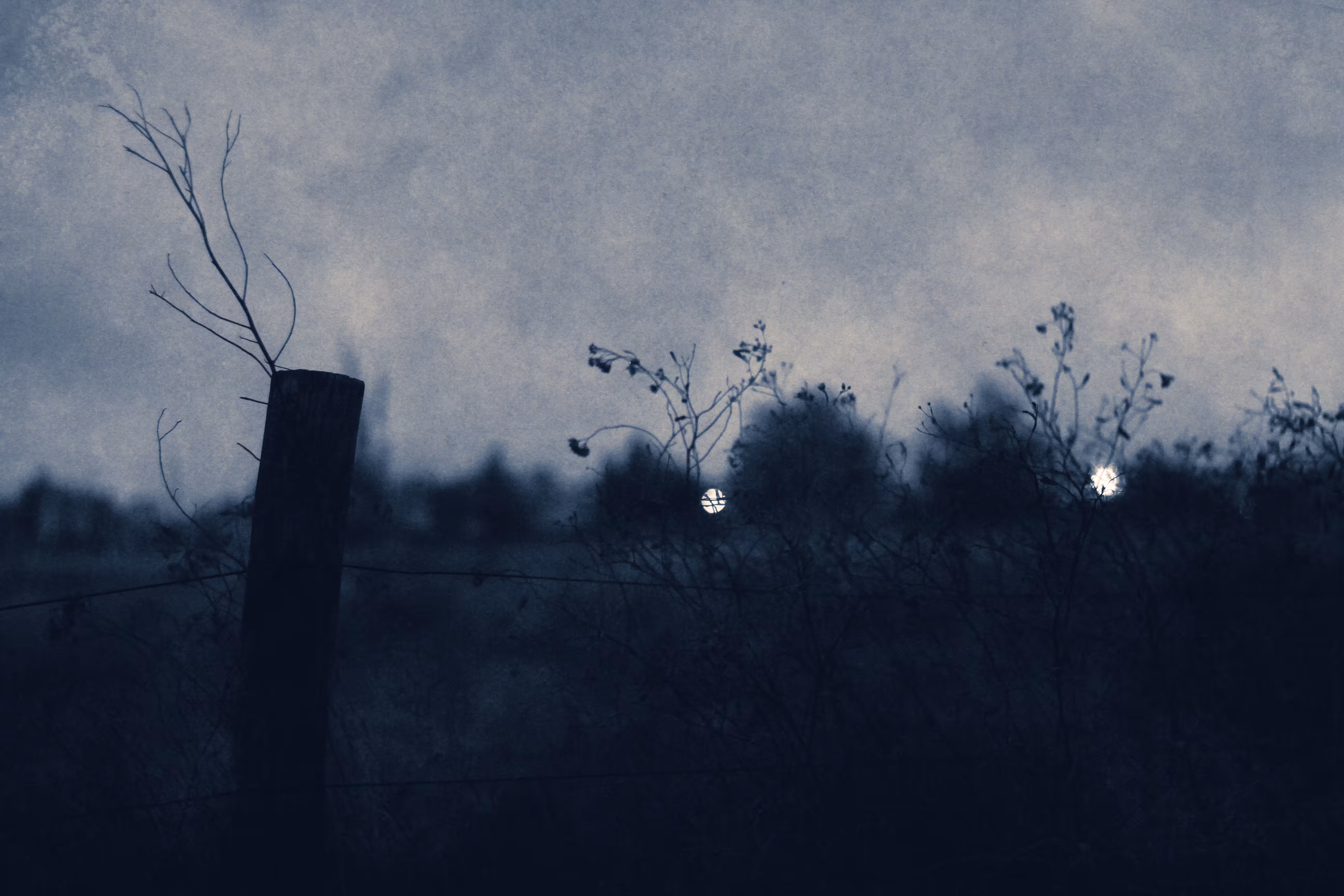 Blue garden IV