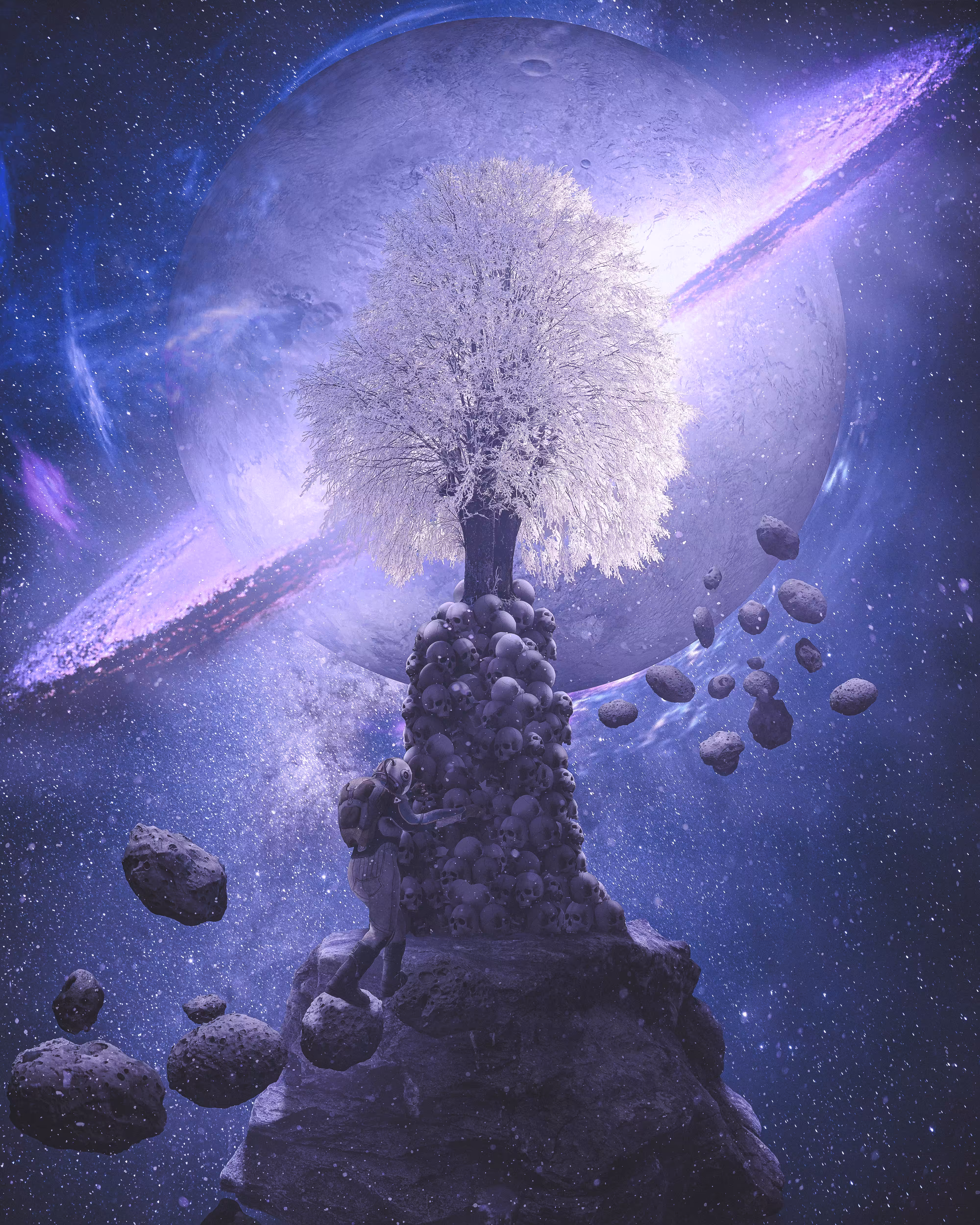 The Galaxy