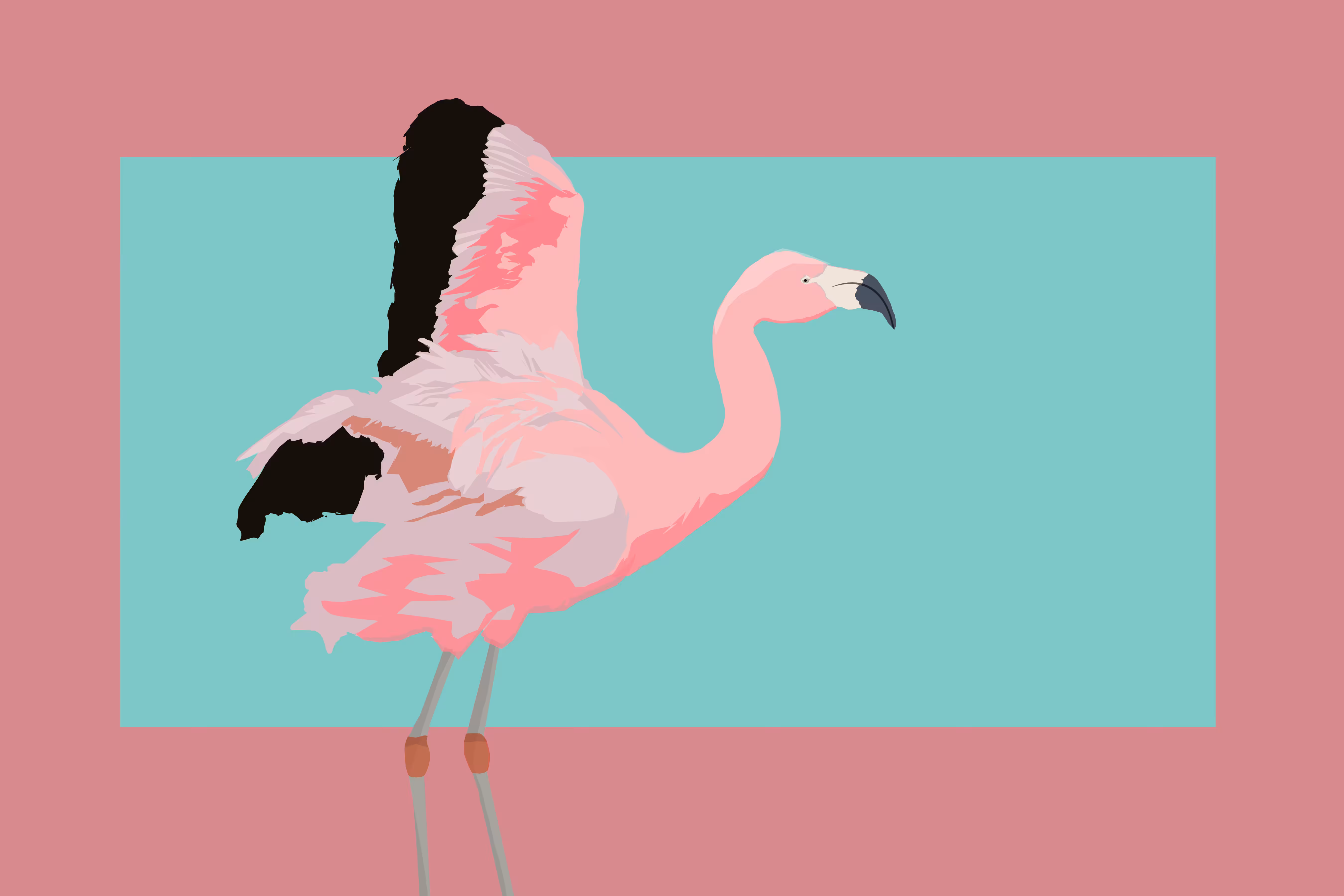 Flamingo
