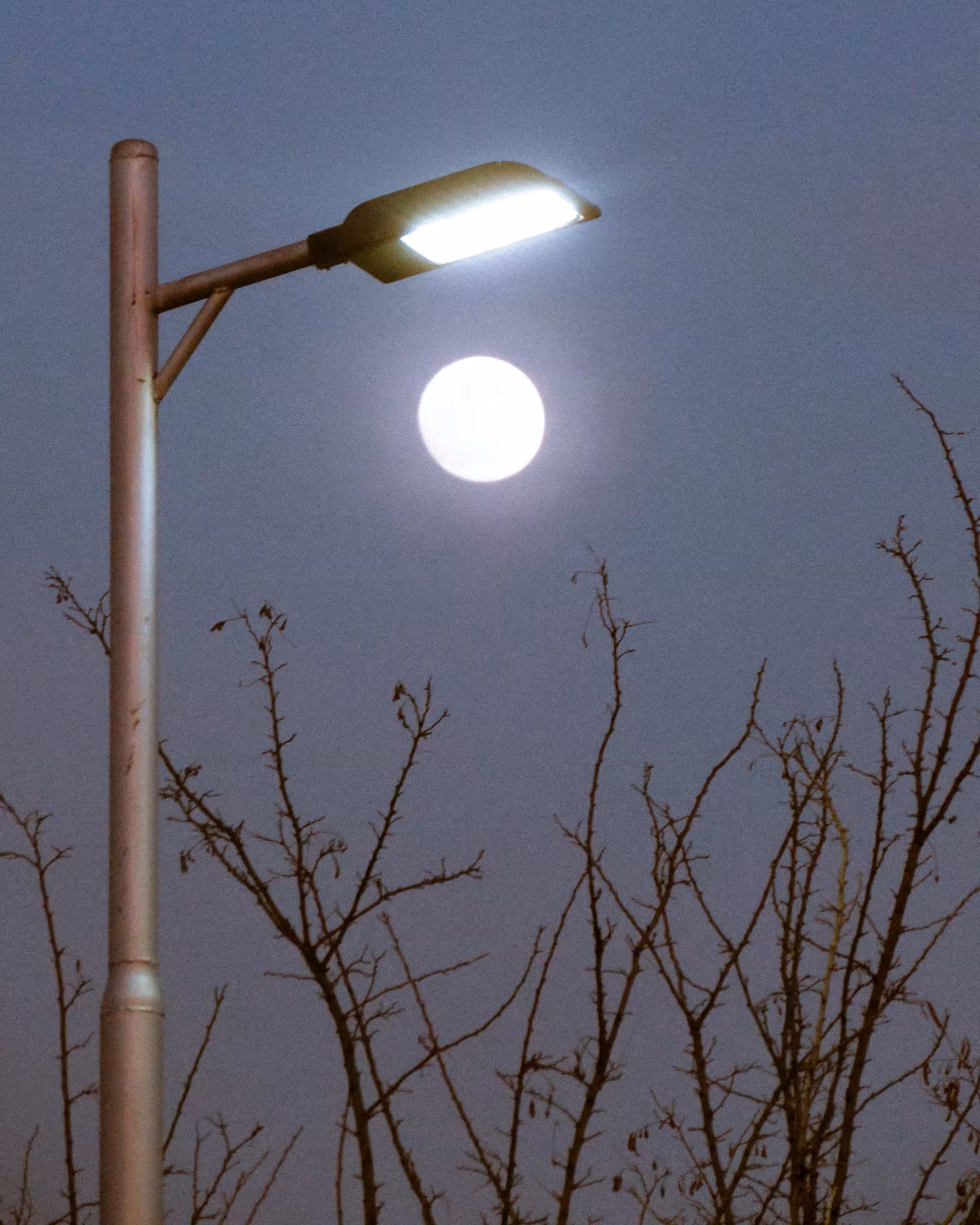 Streetlamp & Moon