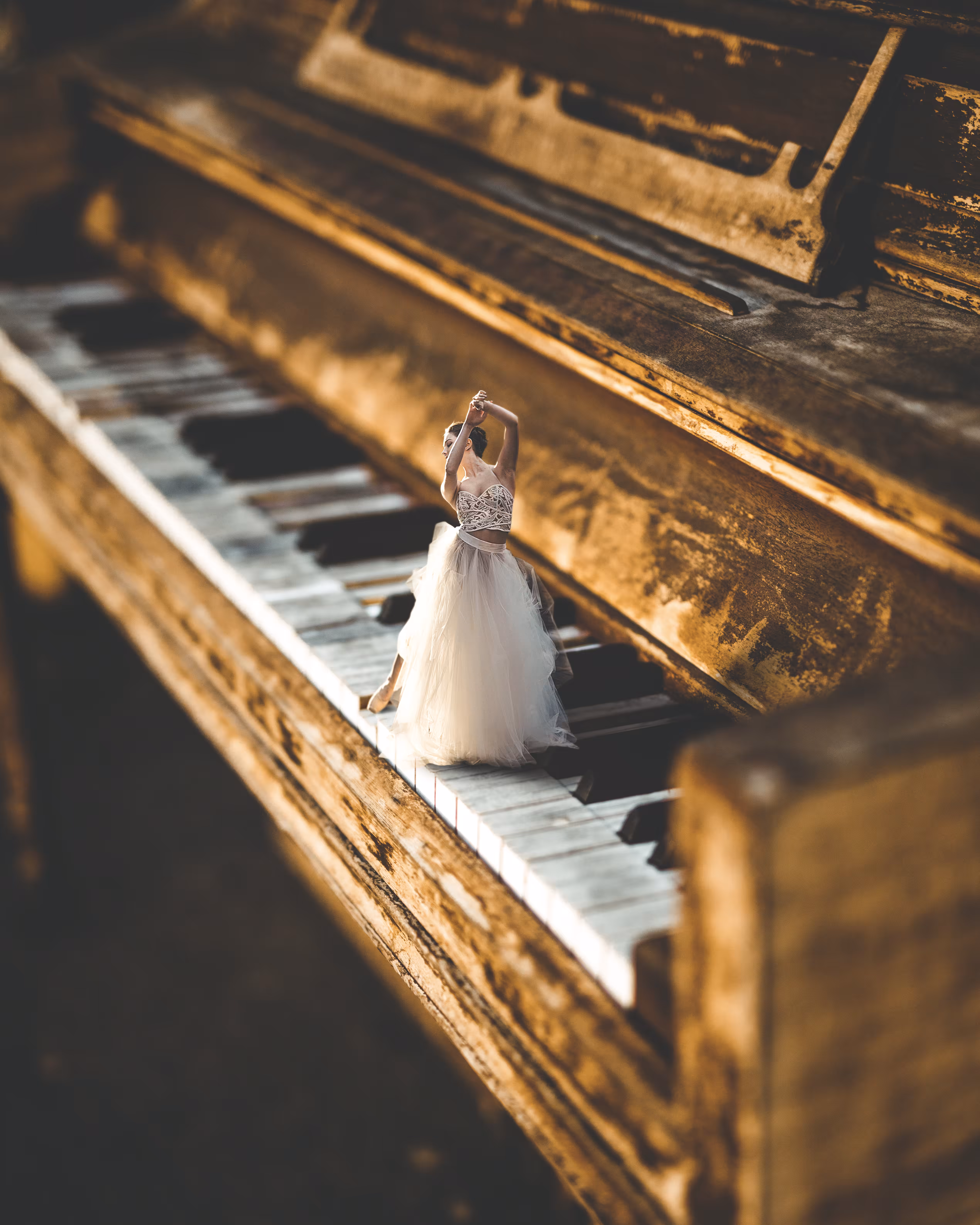 Step of Harmony
