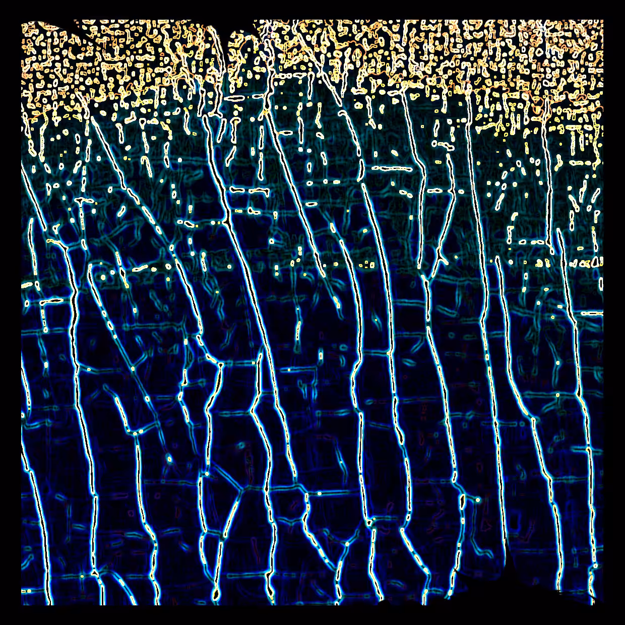 Cell 10