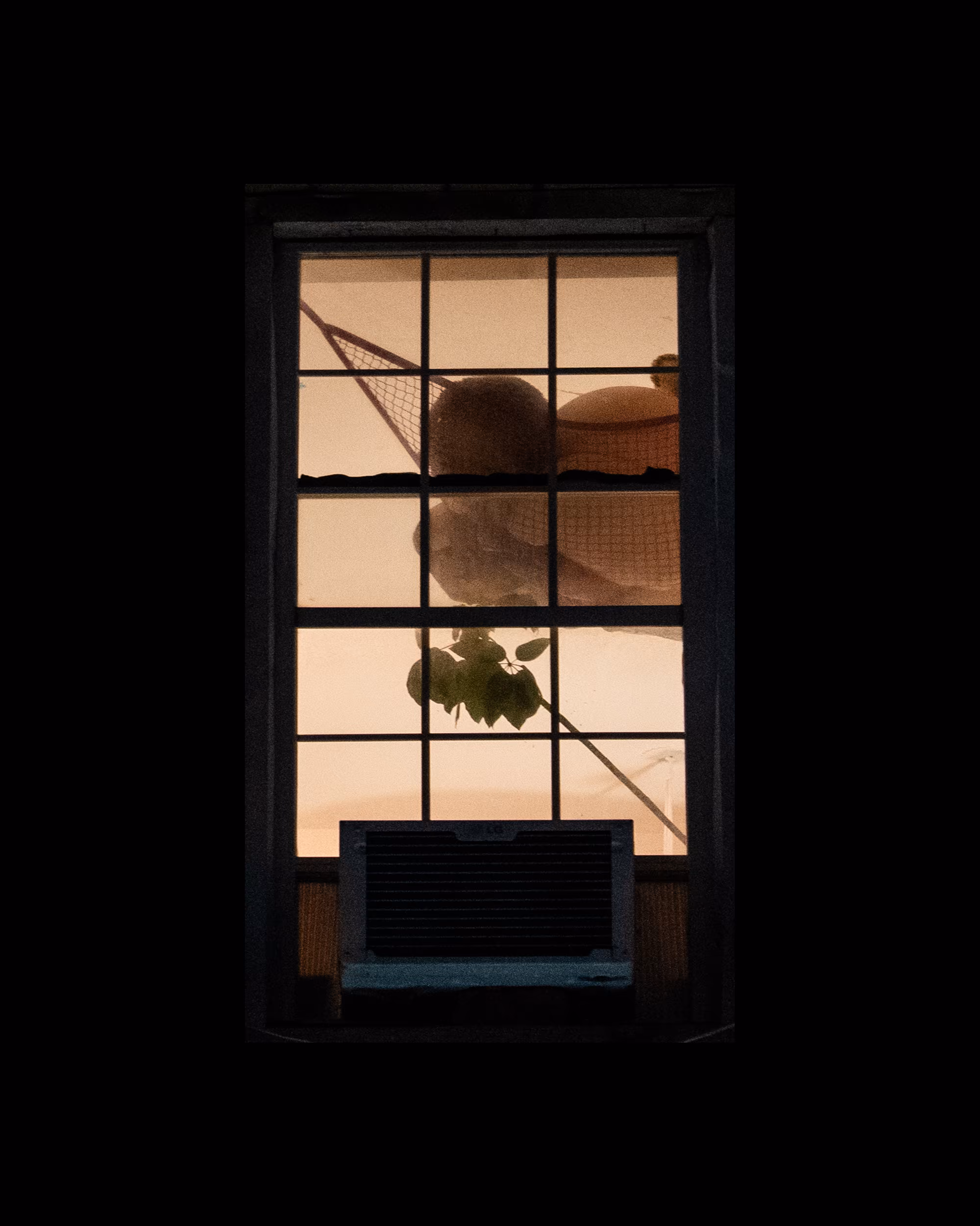 WINDOW 264