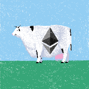 cow #66