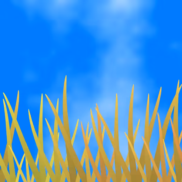 Fields of Ukraine #8