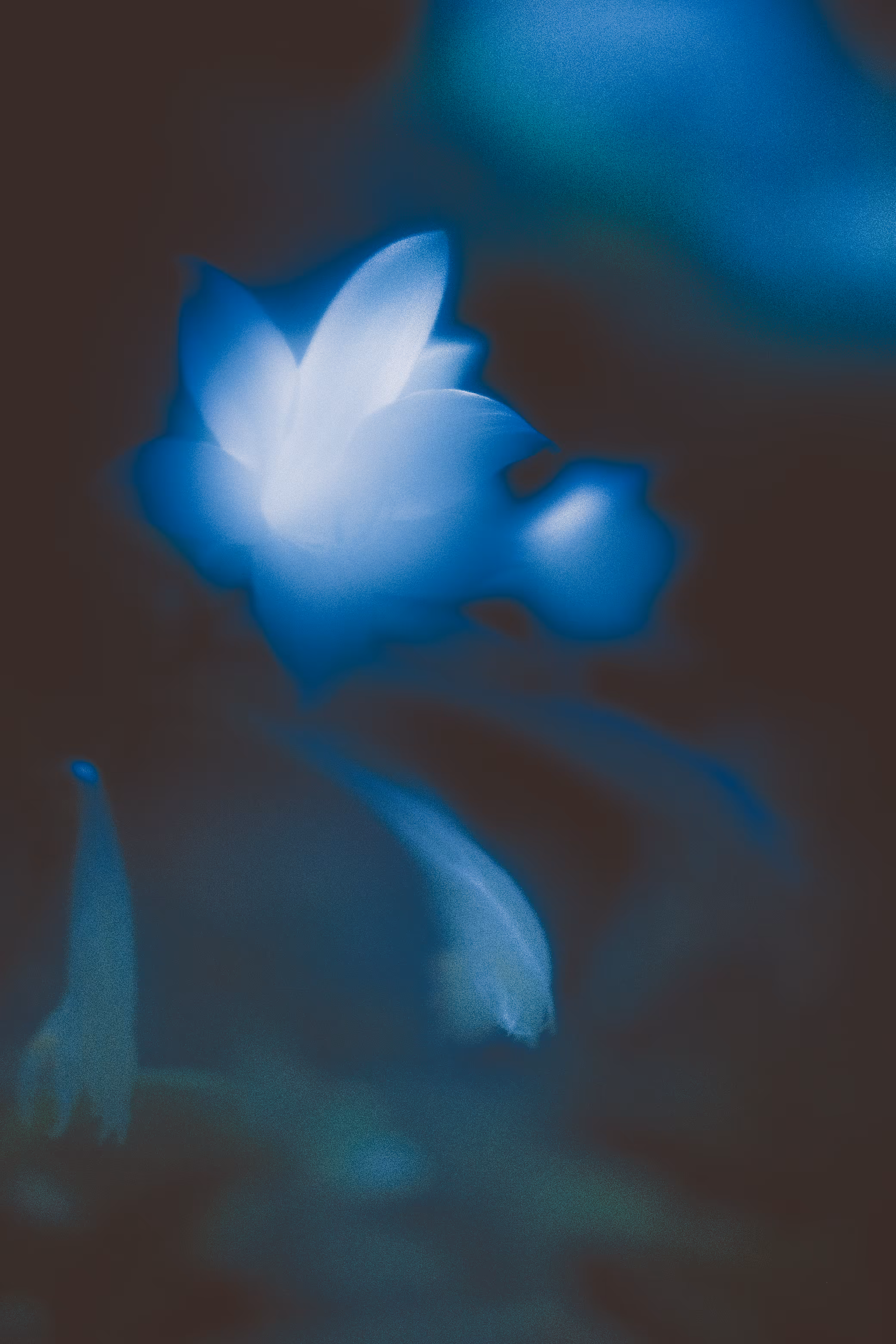 waking dream_4