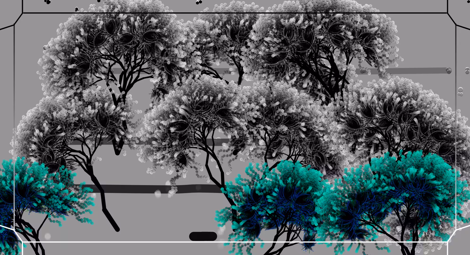 Saltwater #10