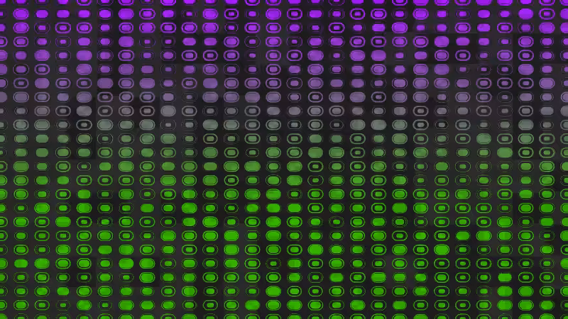 Polka #49