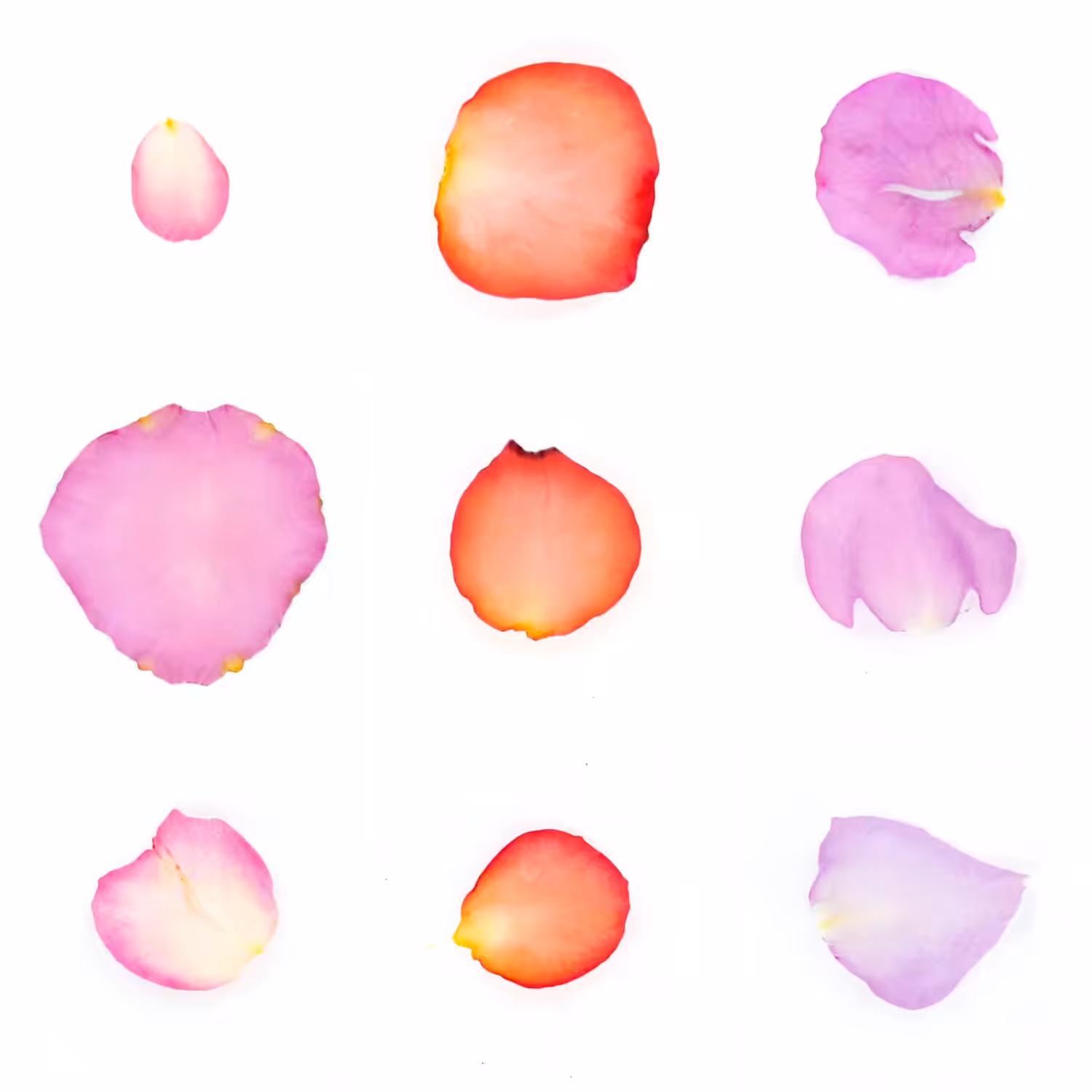 Infinite Petals 3x3#20109
