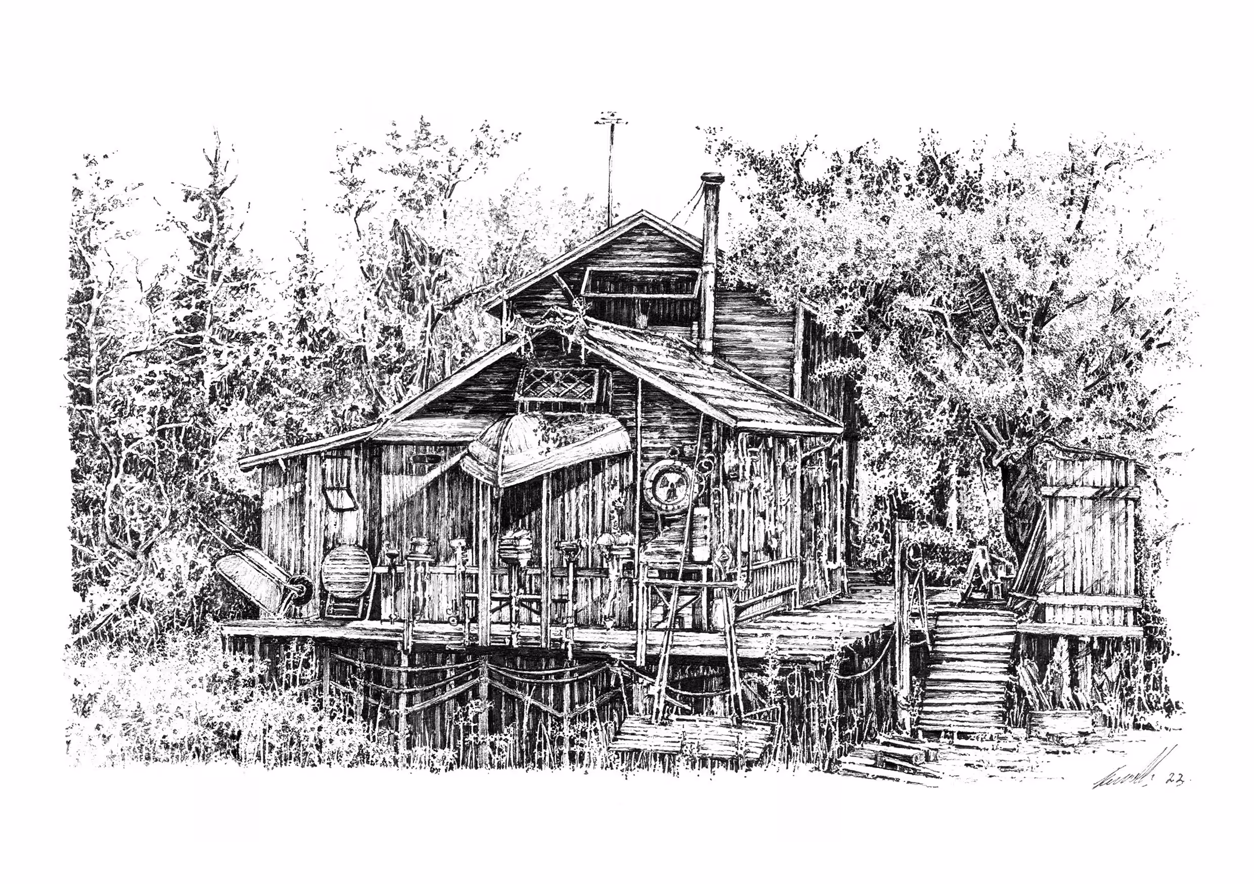 Overgrown house #6