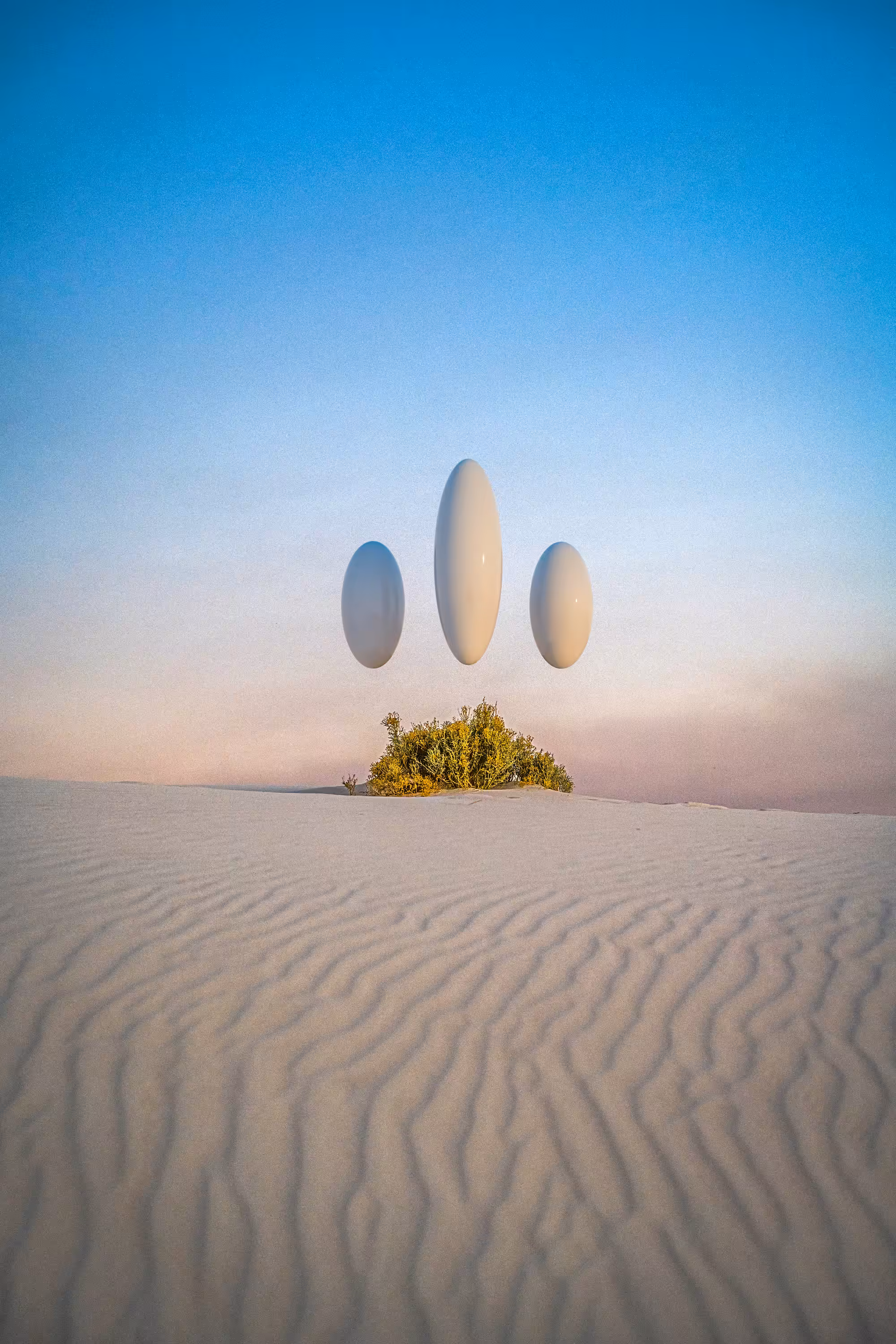 ///🥚🌱☀️⏳/// .