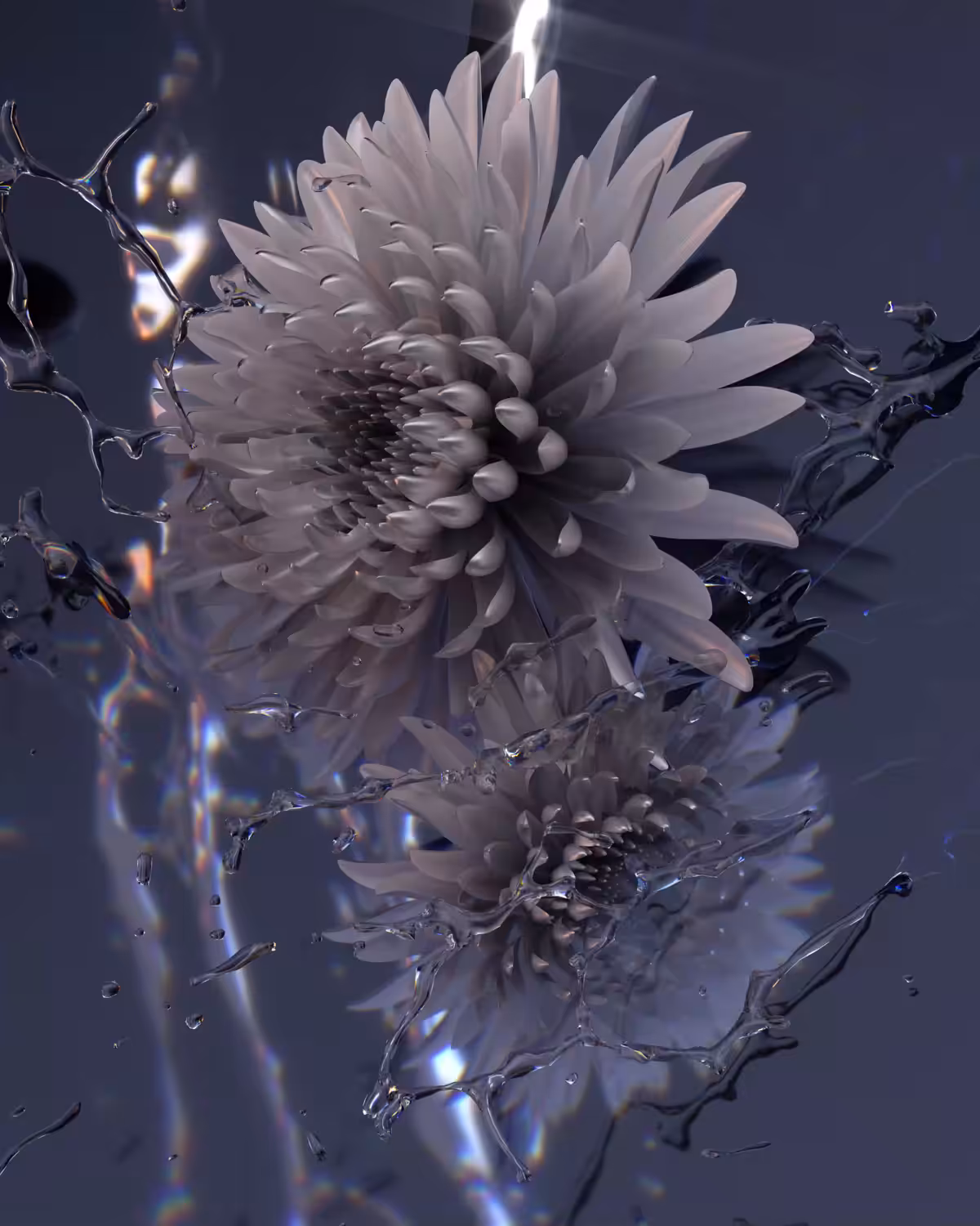 BIRTH II #7/15