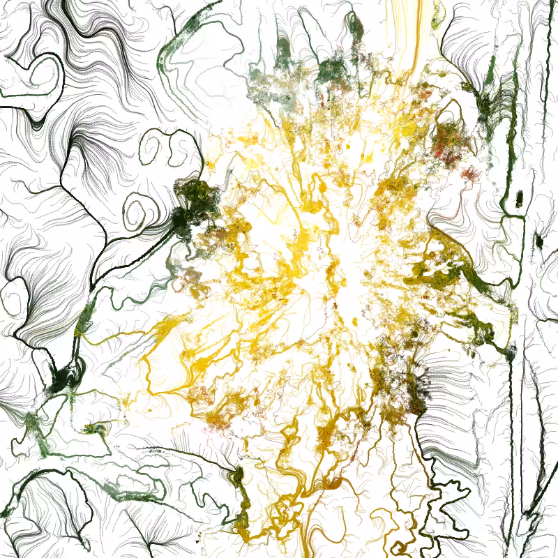Hypericum #88