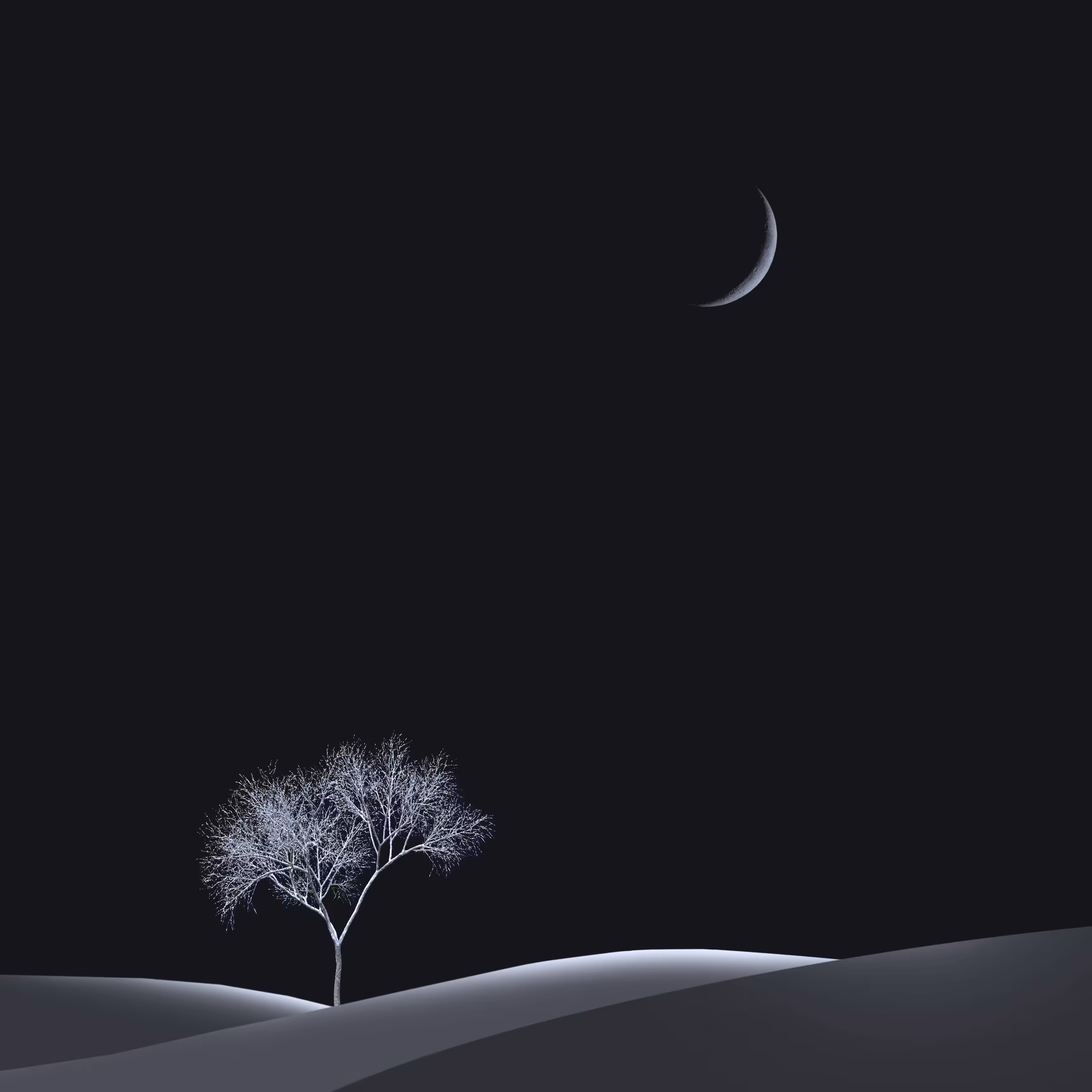 Night's Dream