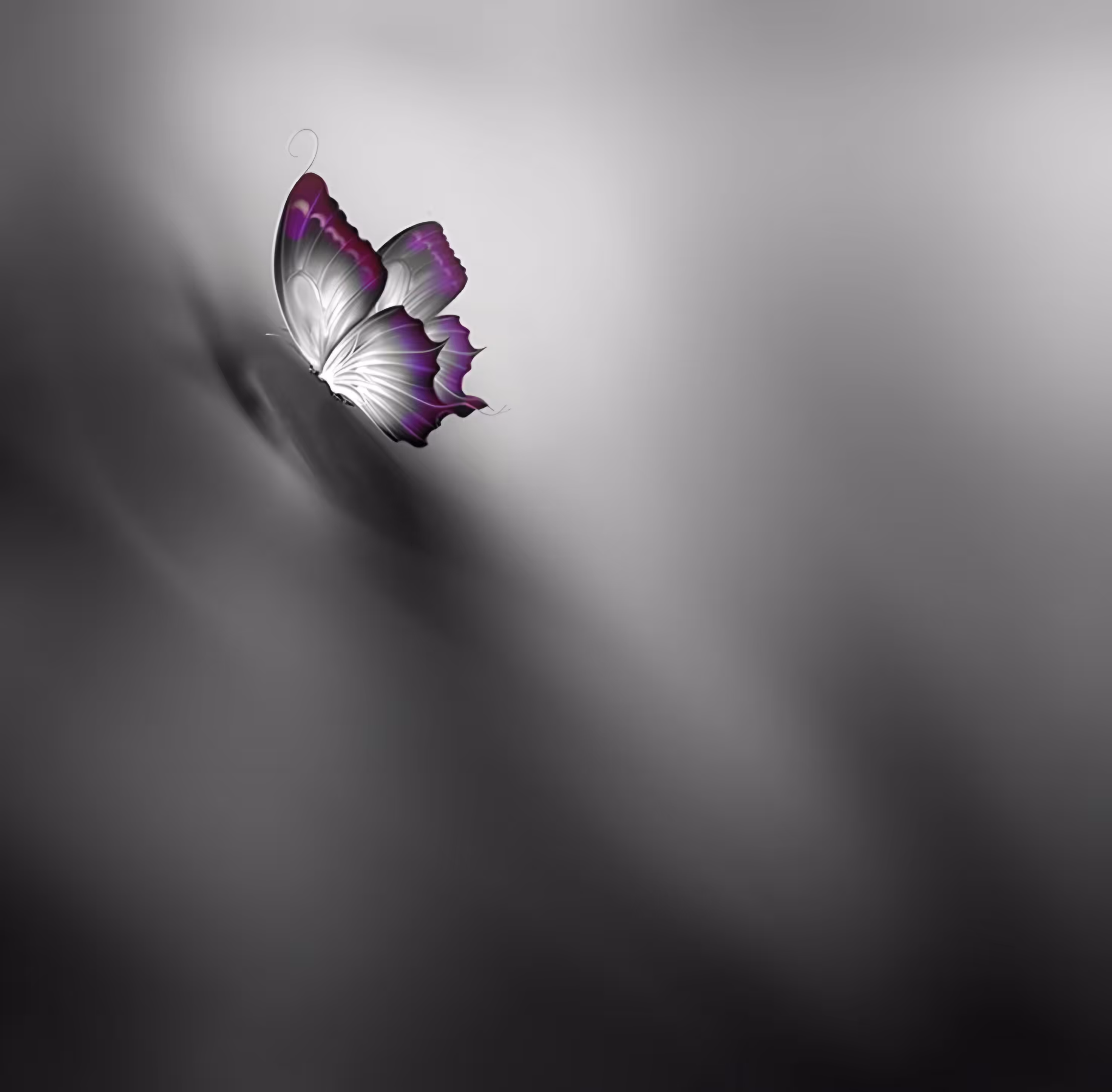 Solitary Flight
