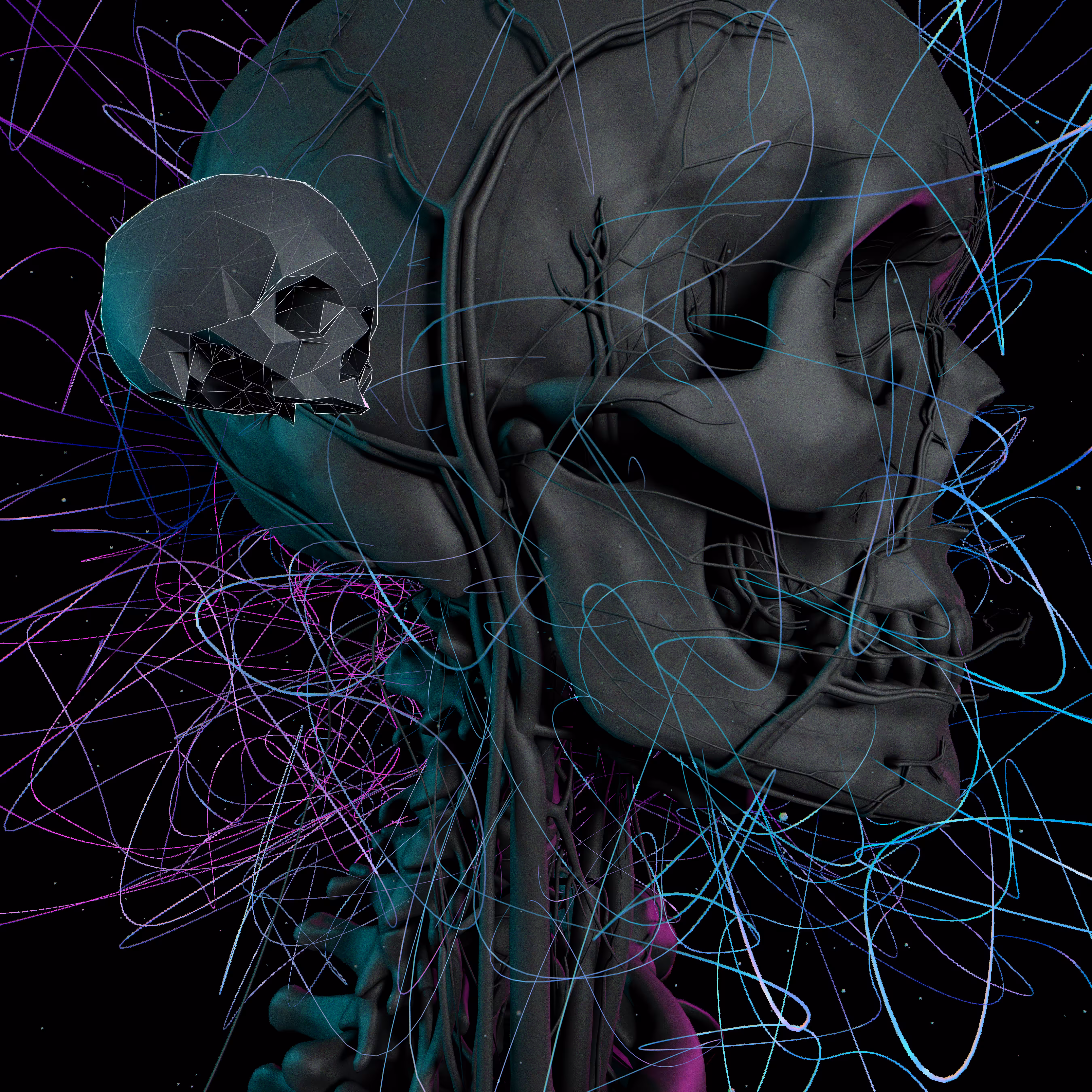 skull+skull_13