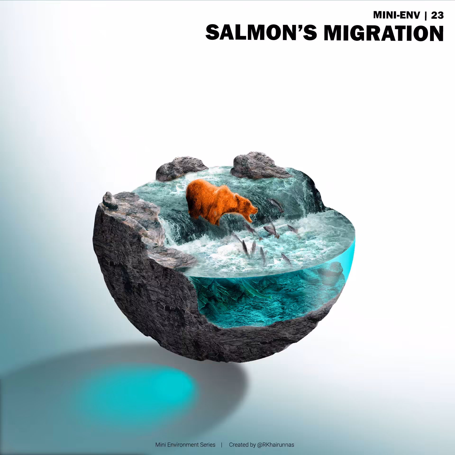 SALMON MIGRATION