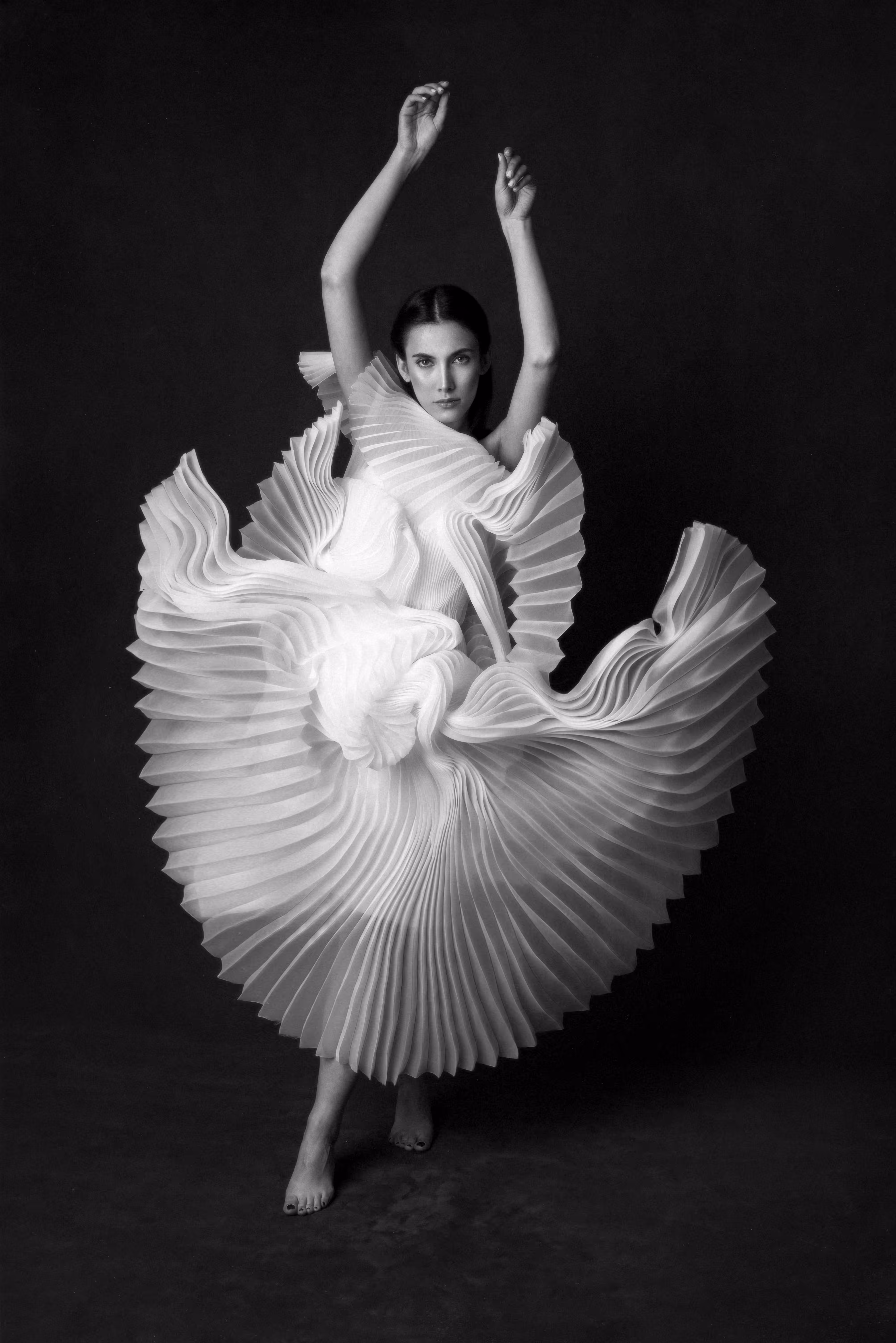 Swan Lake