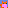 Cutie Squirrel 