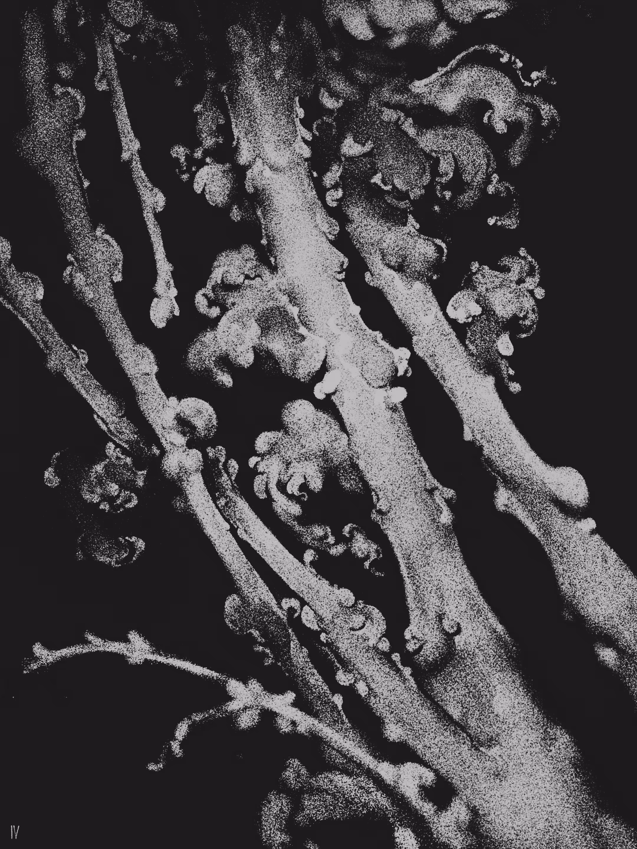 Dry leaves and dark dust II