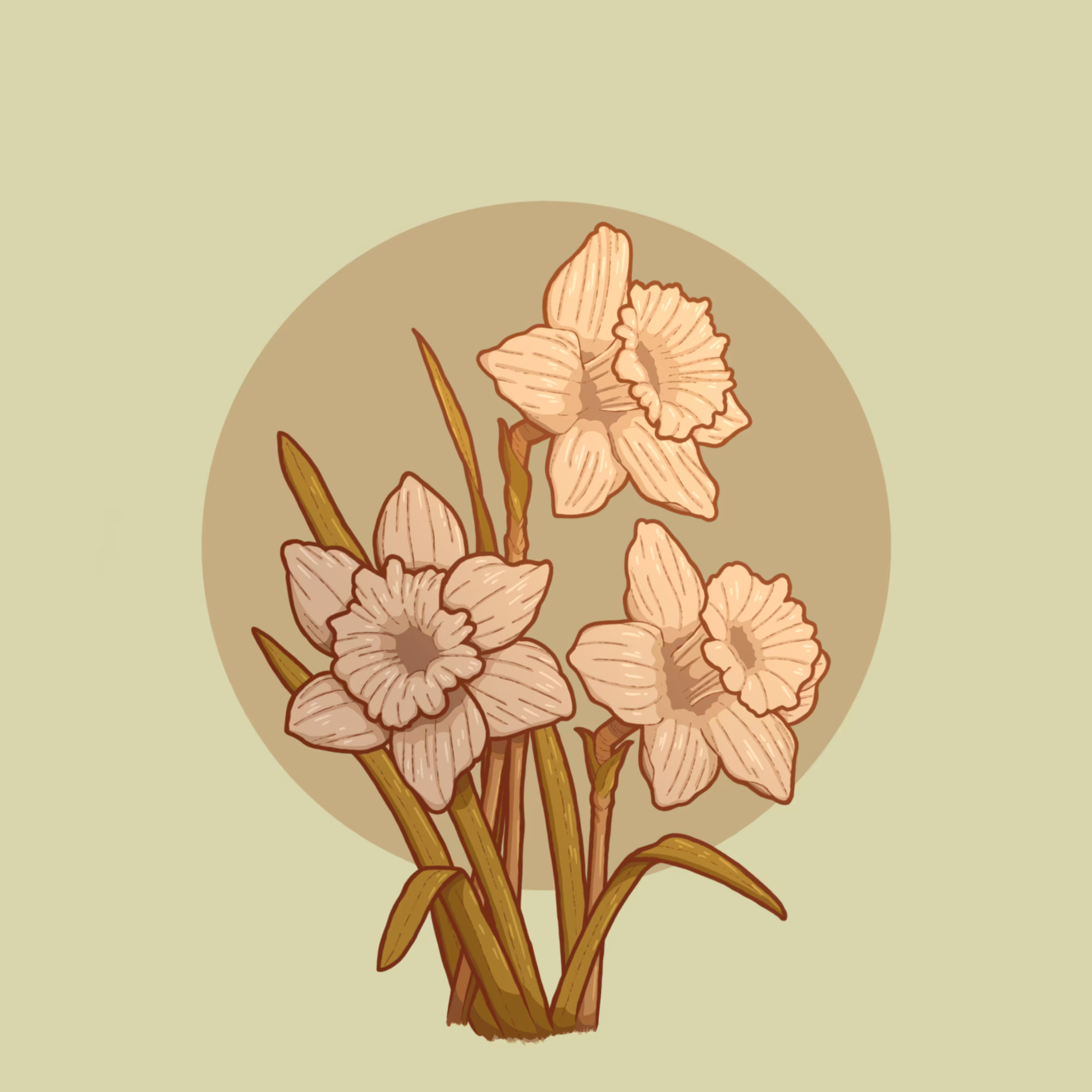 Daffodils