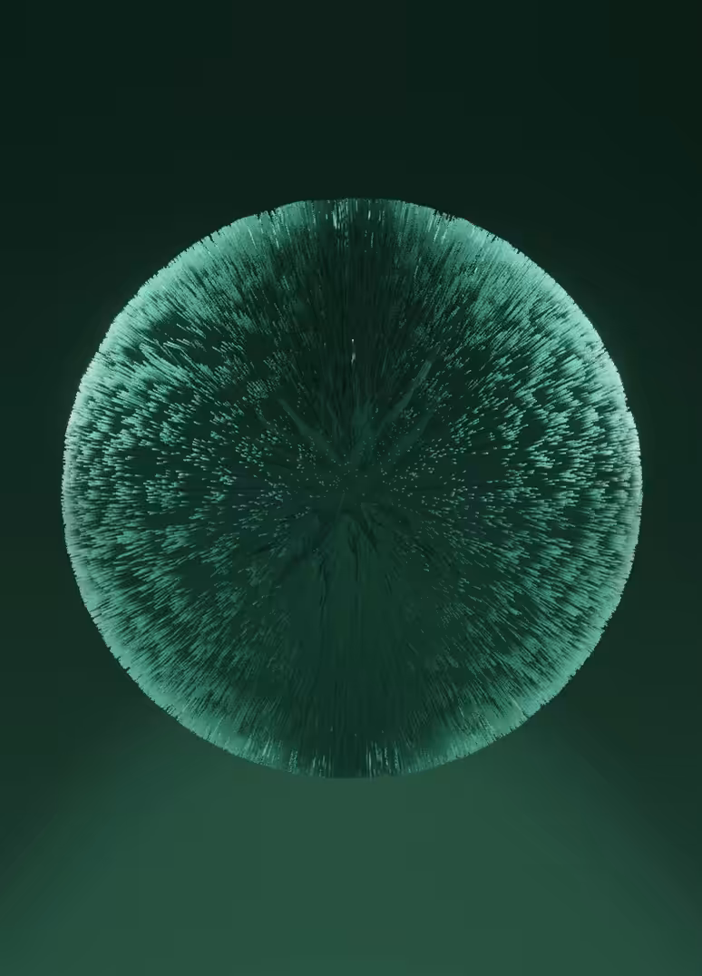 The Green