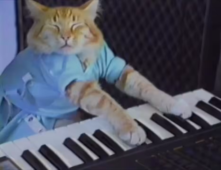 Cool Cat